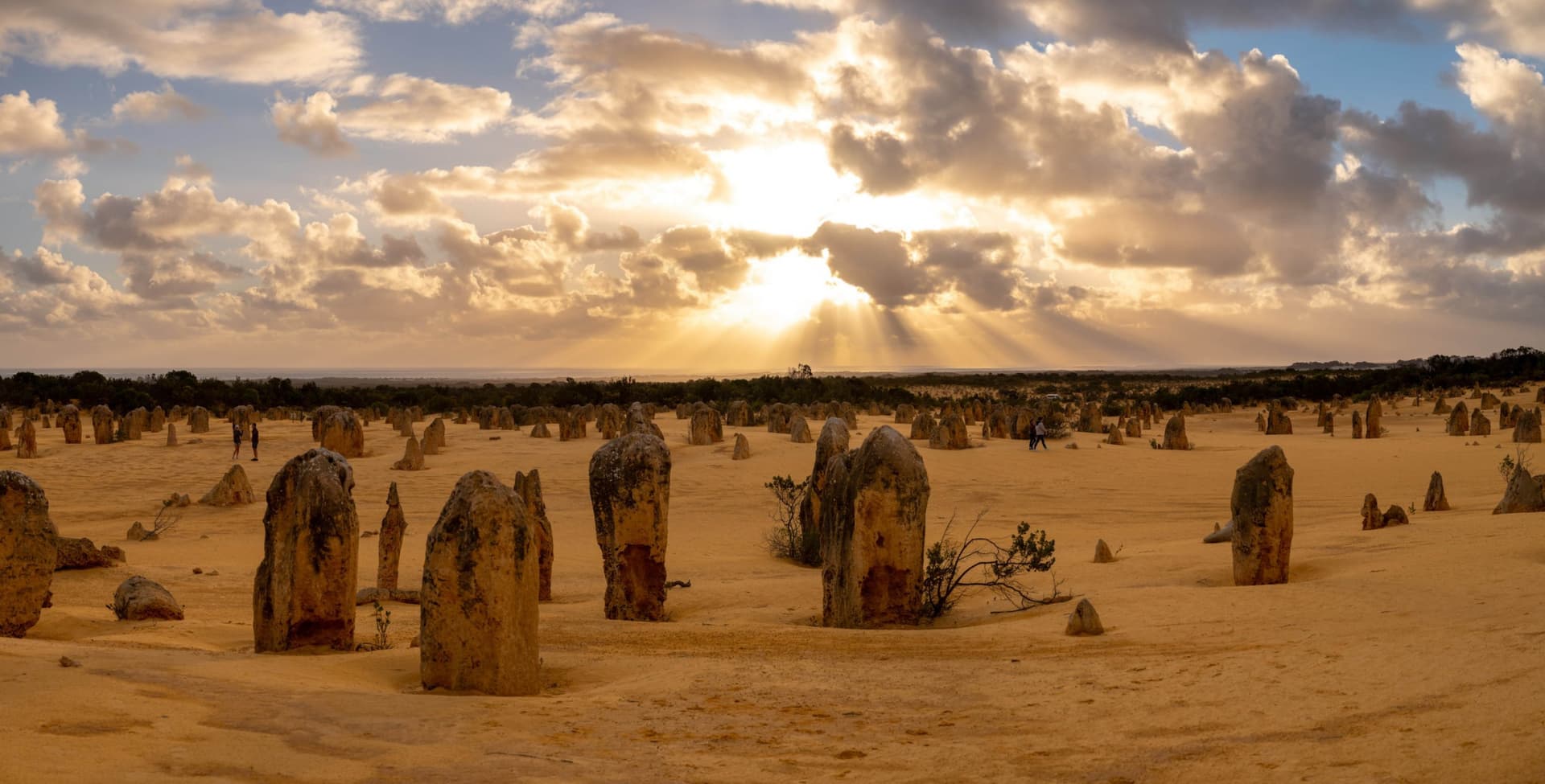 Pinnacles Desert Sunset and Stargazing Tour from Perth - სურათი 4