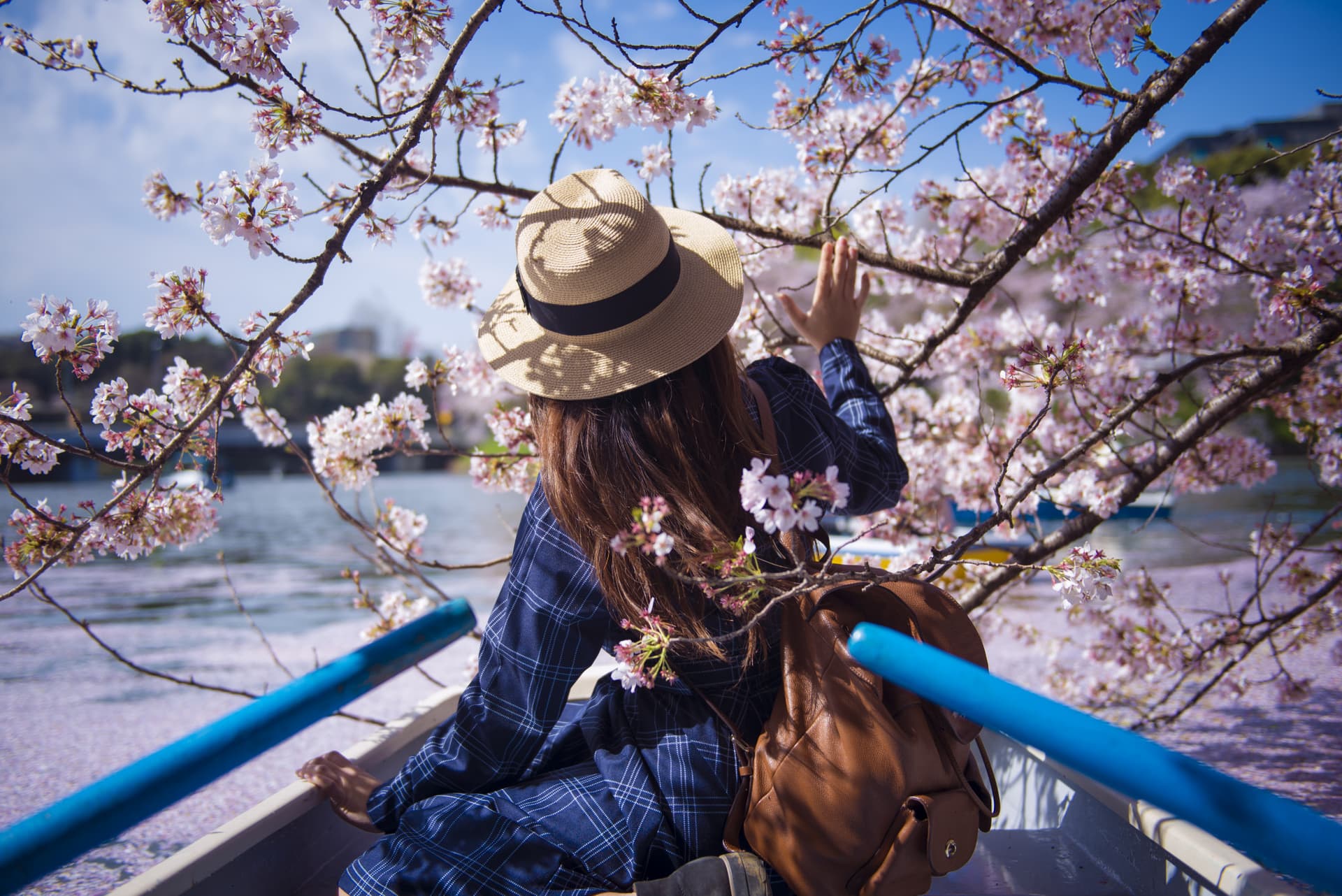 Professional Photo Shoot in Tokyo - მთავარი სურათი
