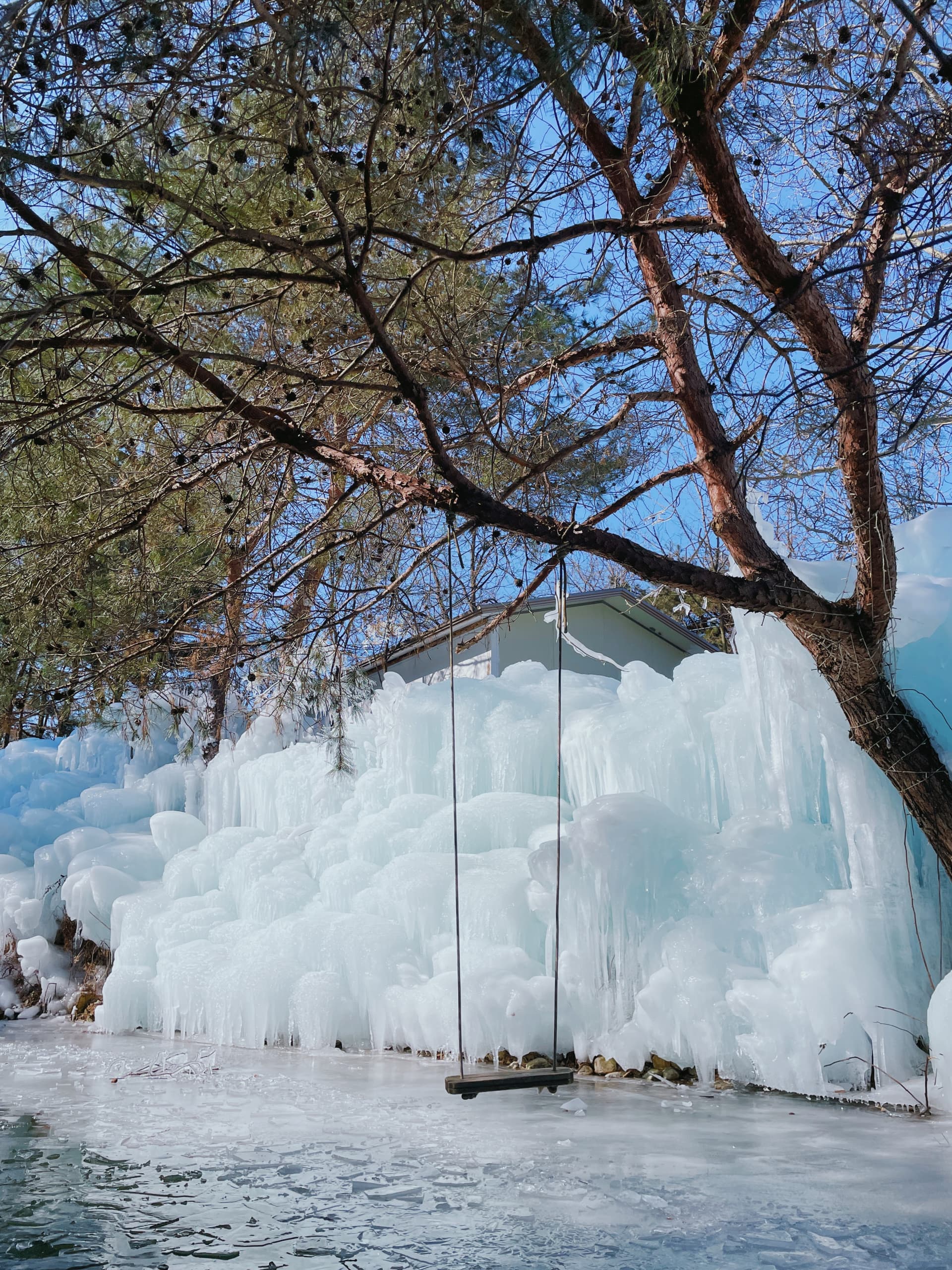 Gyeongju Kookmin Healing Park, Daegu Seomun Market, Songhae Park Ice Wall Full-Day Tour from Busan - სურათი 8