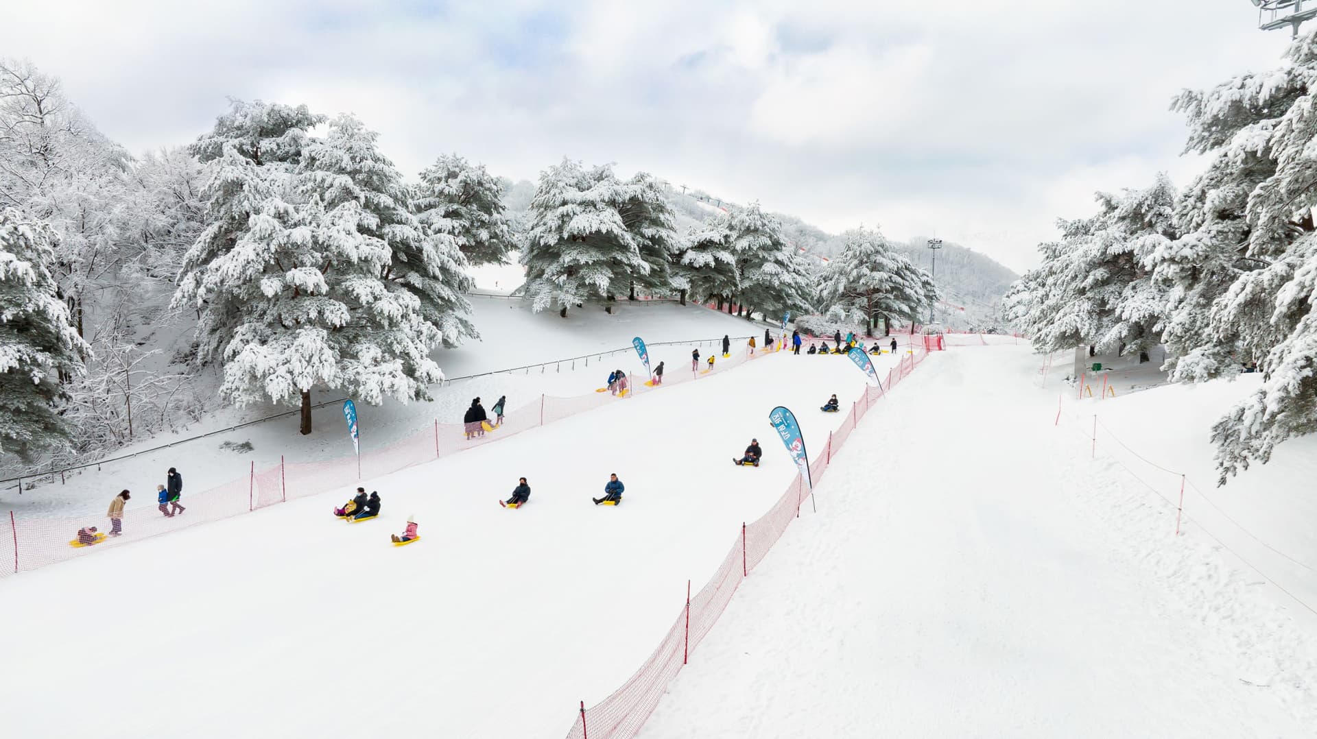 Strawberry Picking, Vivaldi Park, and Eobi Ice Valley Full-Day Tour from Seoul - სურათი 9