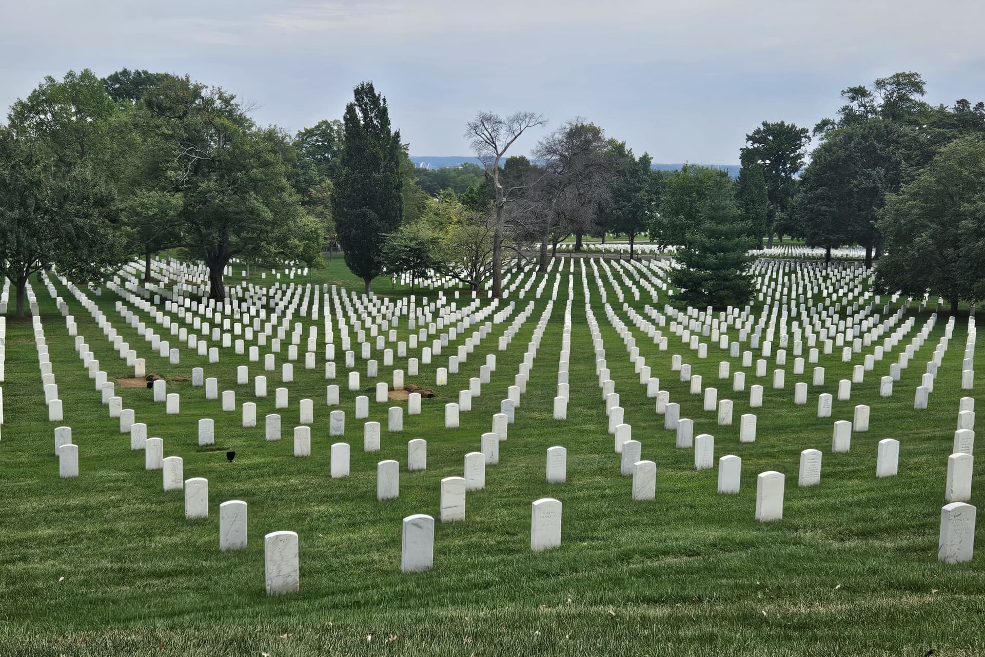 Arlington Cemetery Guided Tour with Changing of the Guard - სურათი 3