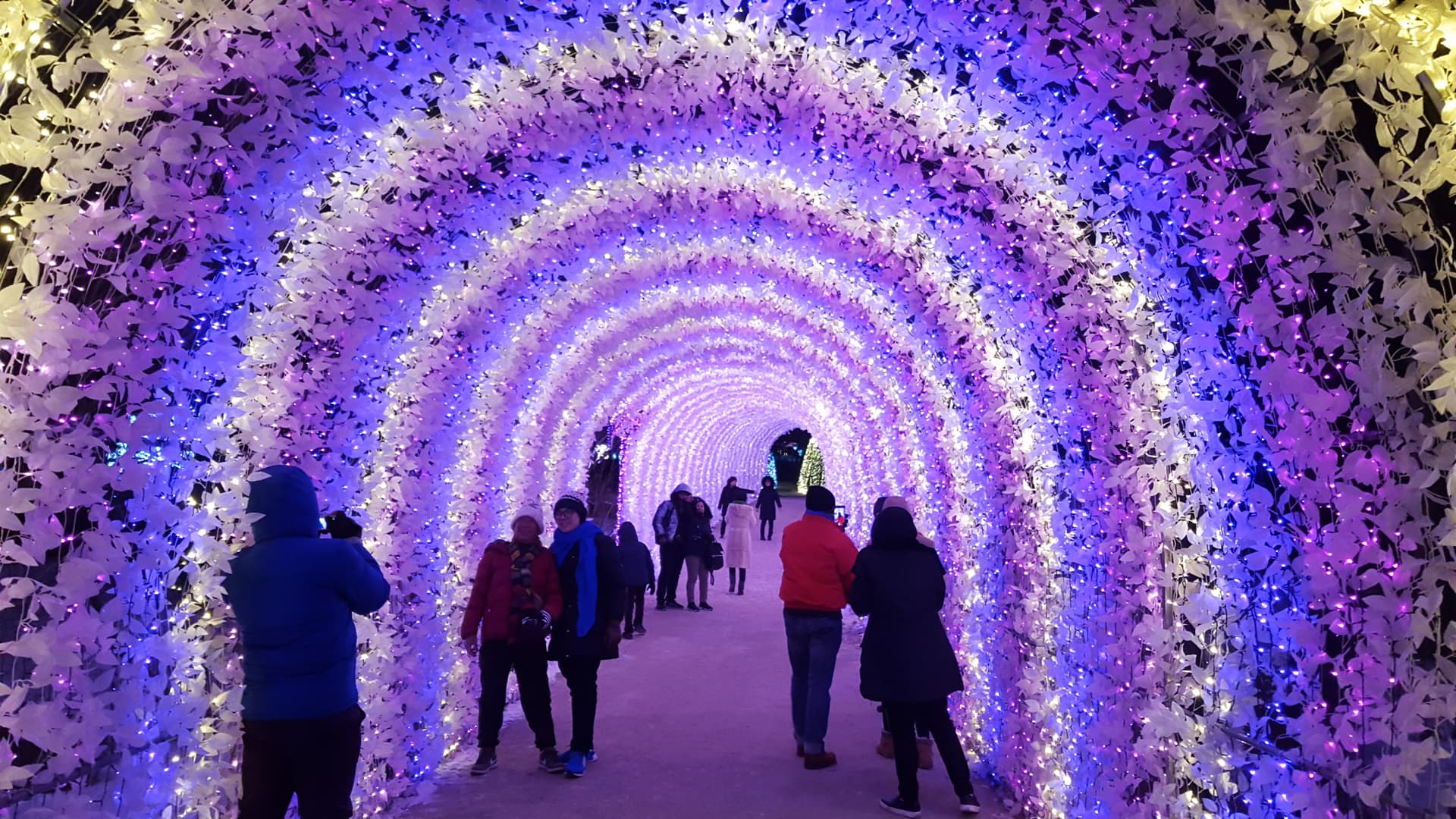 Nami Island, Mount Seorak, and Garden of Morning Calm Full-Day Tour from Seoul - სურათი 12