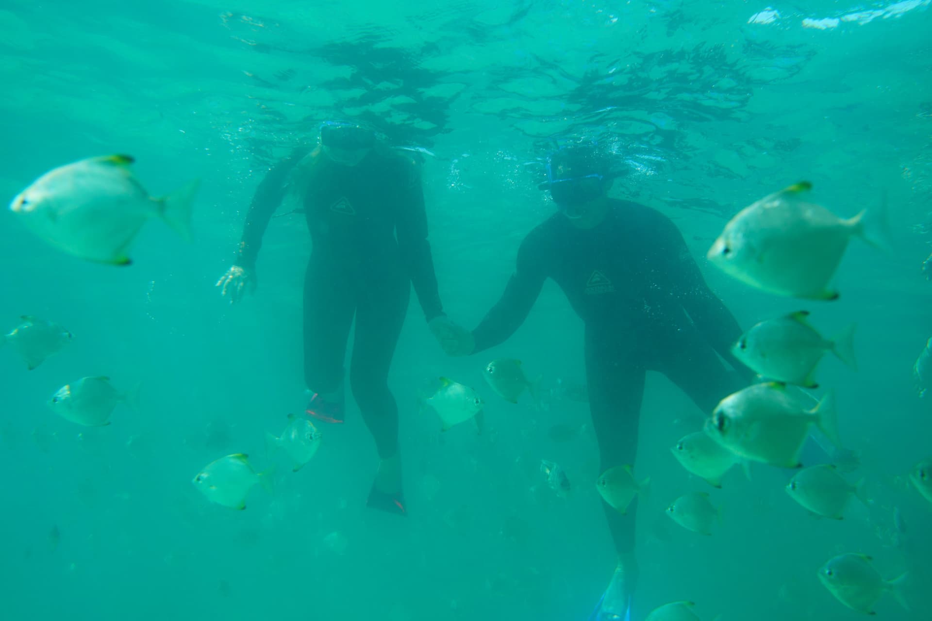Moreton Island 1-Day Adventure Tour with Kayaking and Sandboarding - სურათი 16