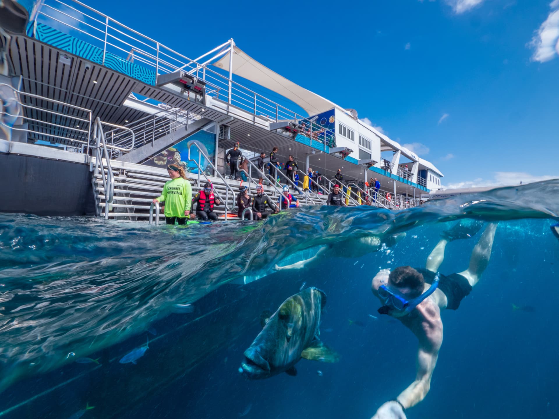 Reef Magic Pontoon Tour from Cairns - მთავარი სურათი
