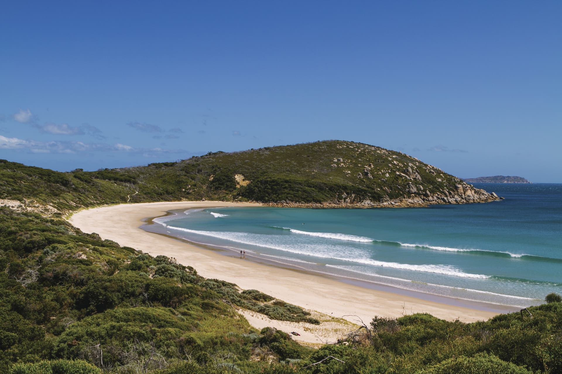 Wilsons Promontory National Park Tour from Melbourne - სურათი 5