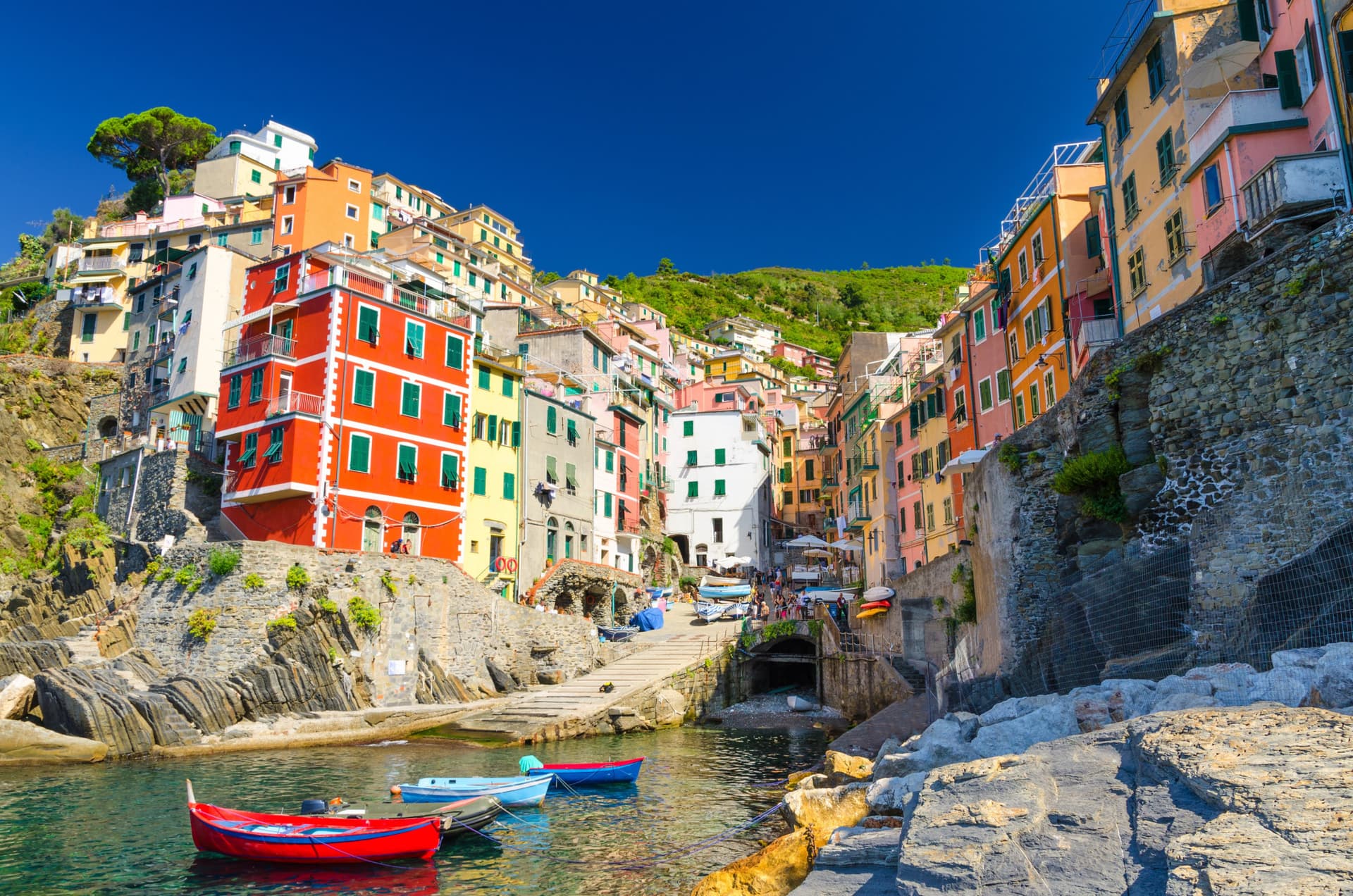 Cinque Terre Tour from Florence: Manarola, Riomaggiore, Vernazza, Monterosso - მთავარი სურათი