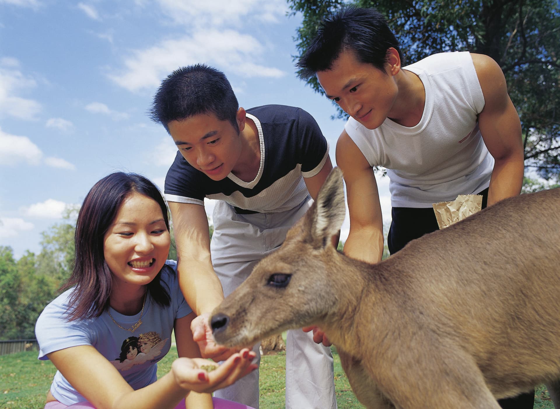 Currumbin Wildlife Sanctuary Gold Coast Ticket - სურათი 6