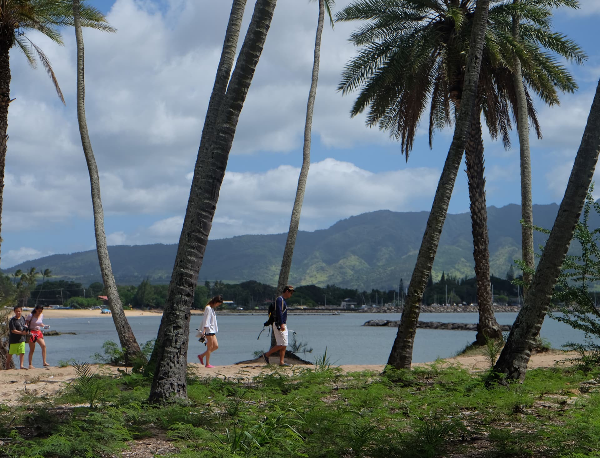 Go City Oahu Explorer Pass: Save up to 50% on Attractions - სურათი 43