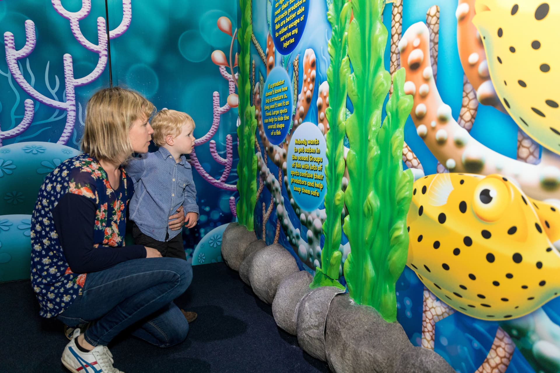 SEA LIFE Kelly Tarlton's Aquarium Ticket - სურათი 14