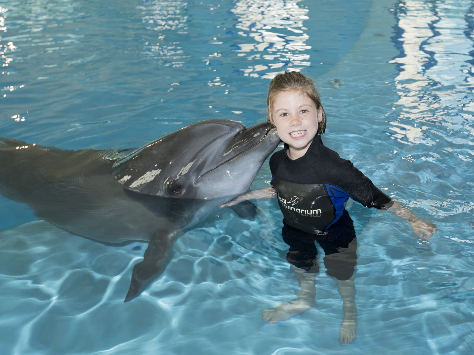 Dubai Dolphinarium Ticket - სურათი 13