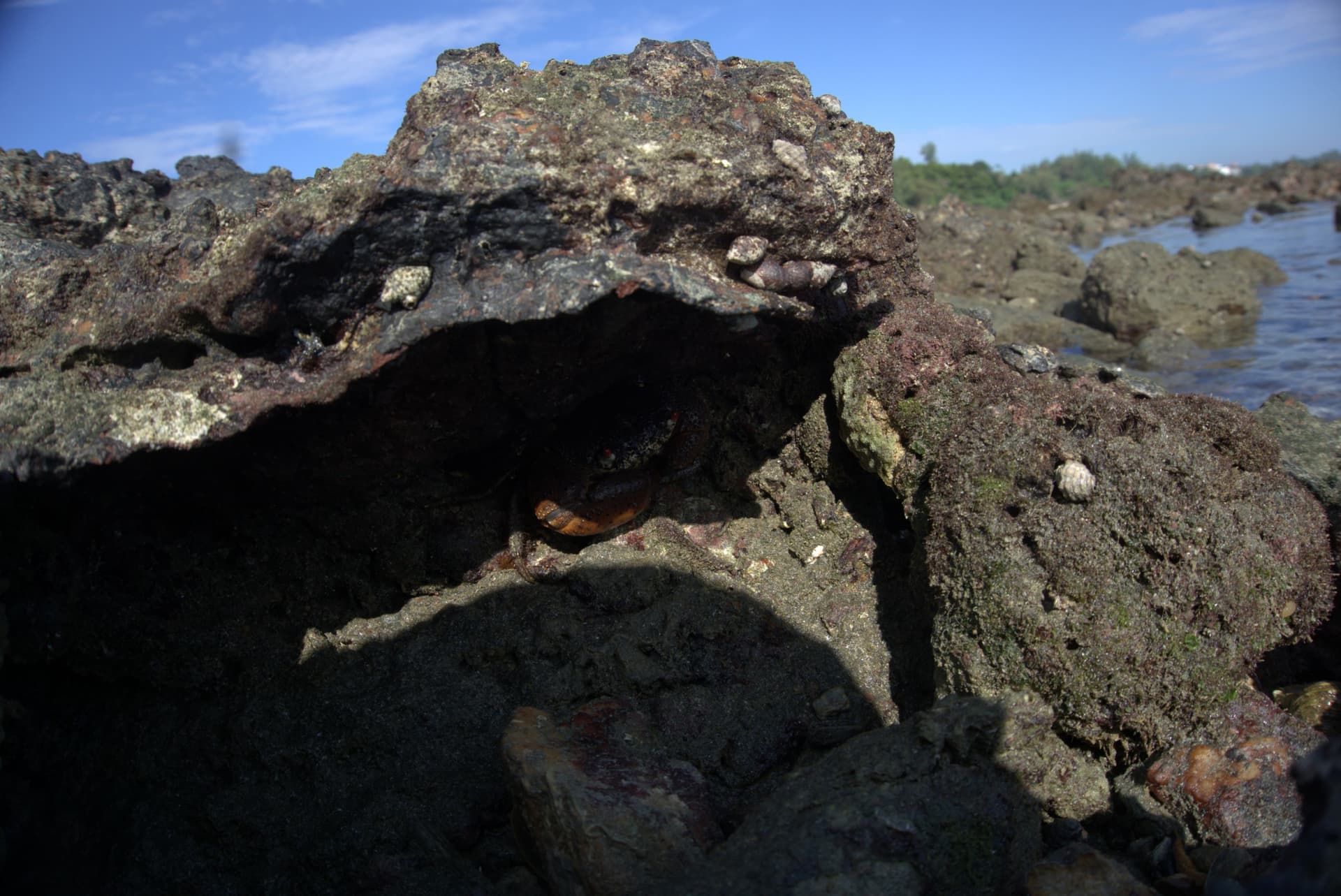 Desaru Beach and Tide Pool Walk - სურათი 39
