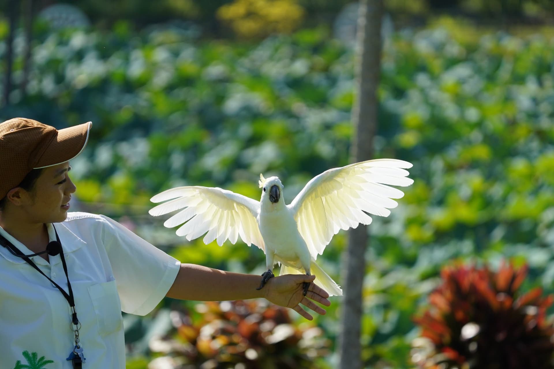 Okinawa Southeast Botanical Gardens - სურათი 34
