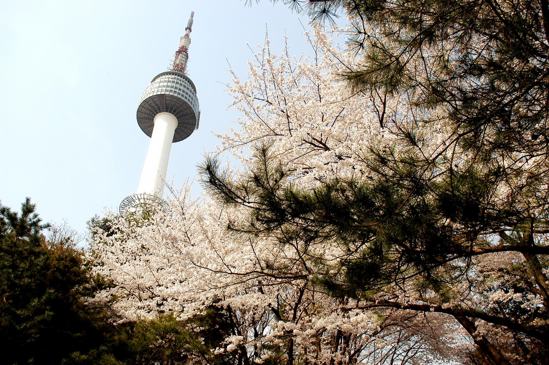 N Seoul Tower Ticket - სურათი 3