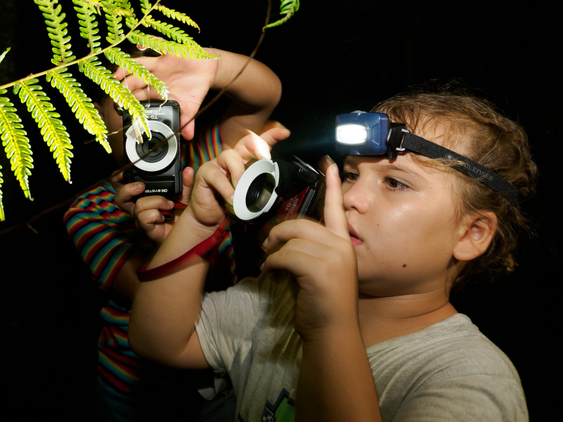 Cairns Botanic Gardens Night Walk Experience - მთავარი სურათი