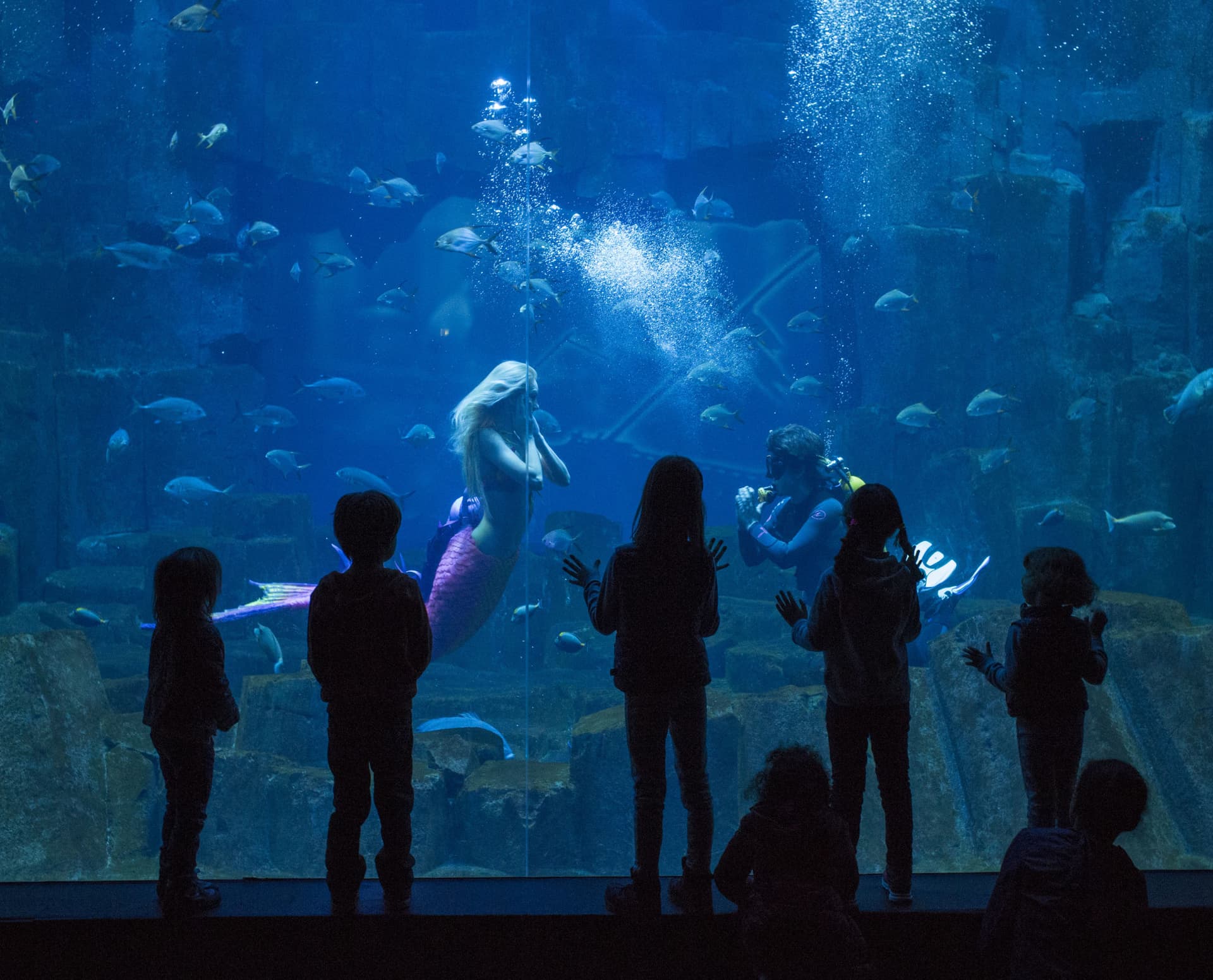 The Paris Pass Plus: Save up to 50% on Attractions - სურათი 26