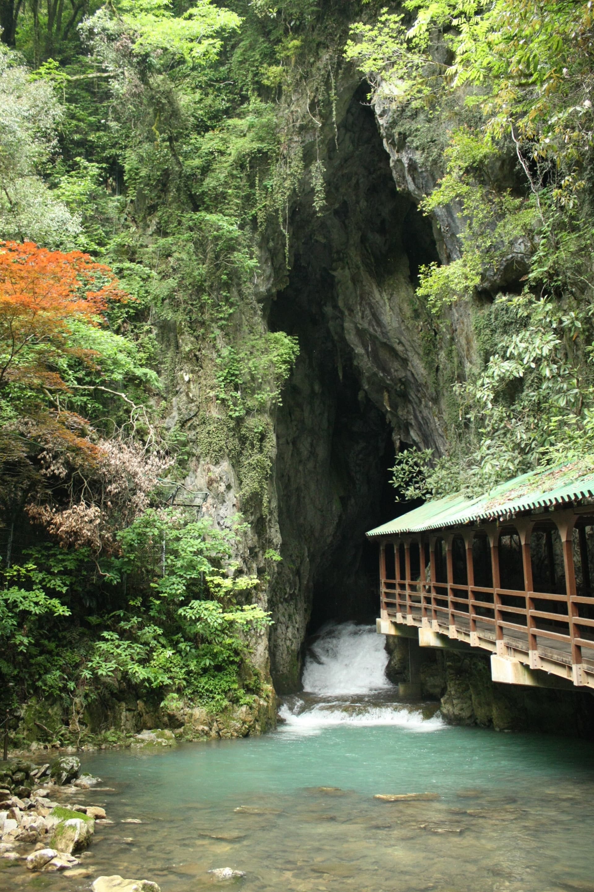 Akiyoshido Cave Ticket - სურათი 3