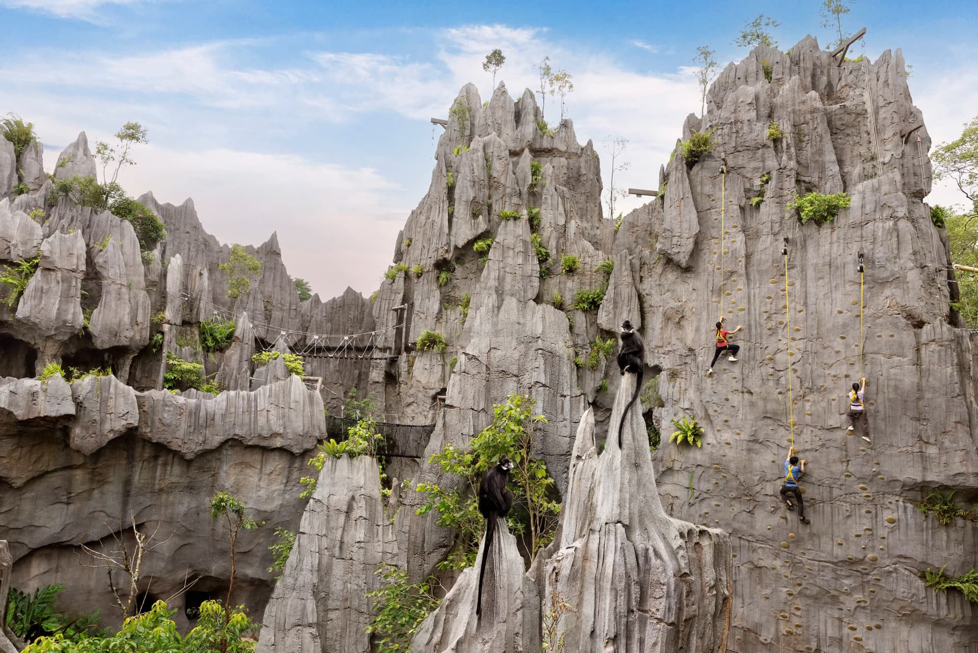 Rainforest Wild Adventure Ticket - სურათი 10