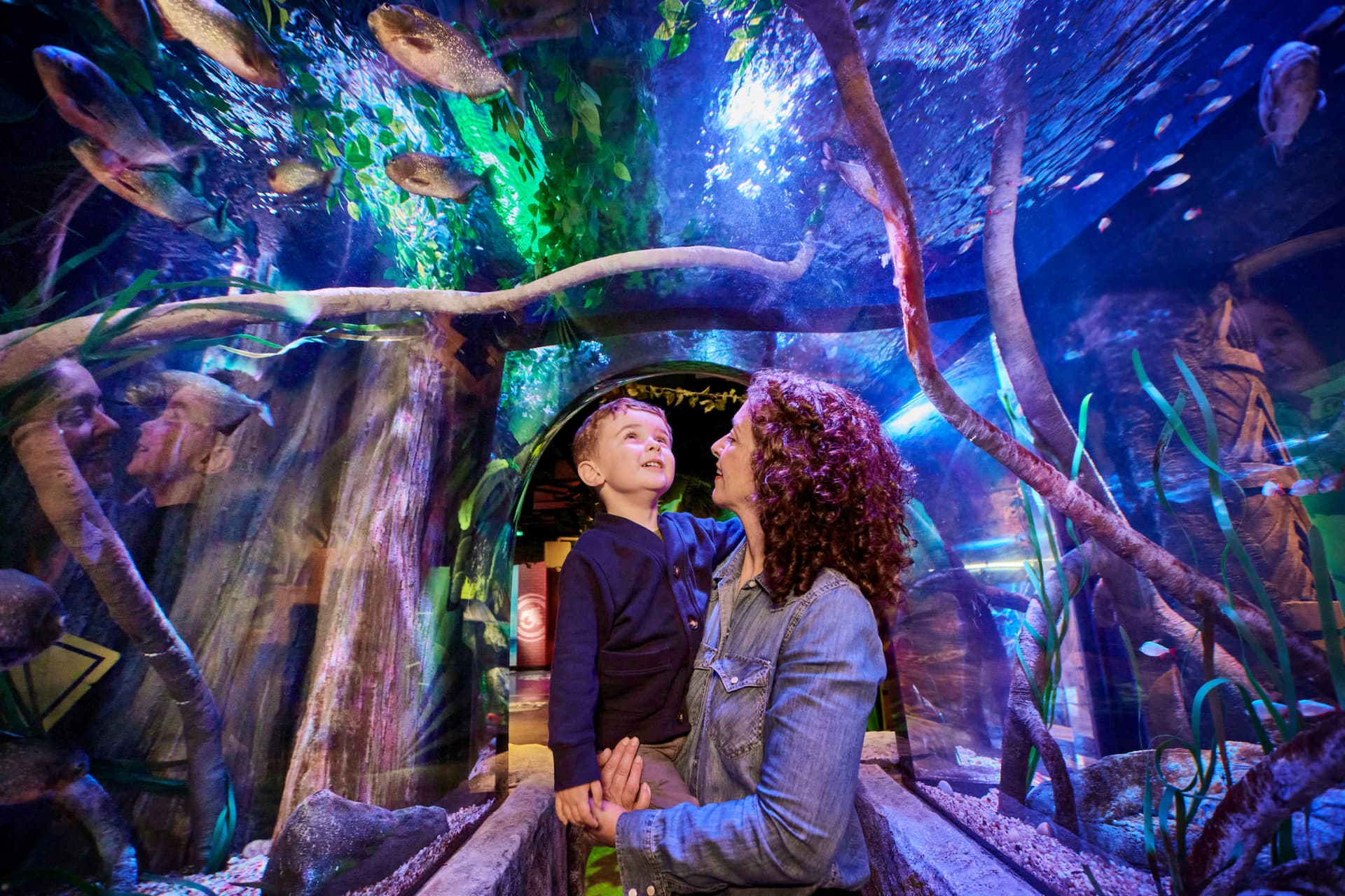 SEA LIFE New Jersey Aquarium Ticket - მთავარი სურათი
