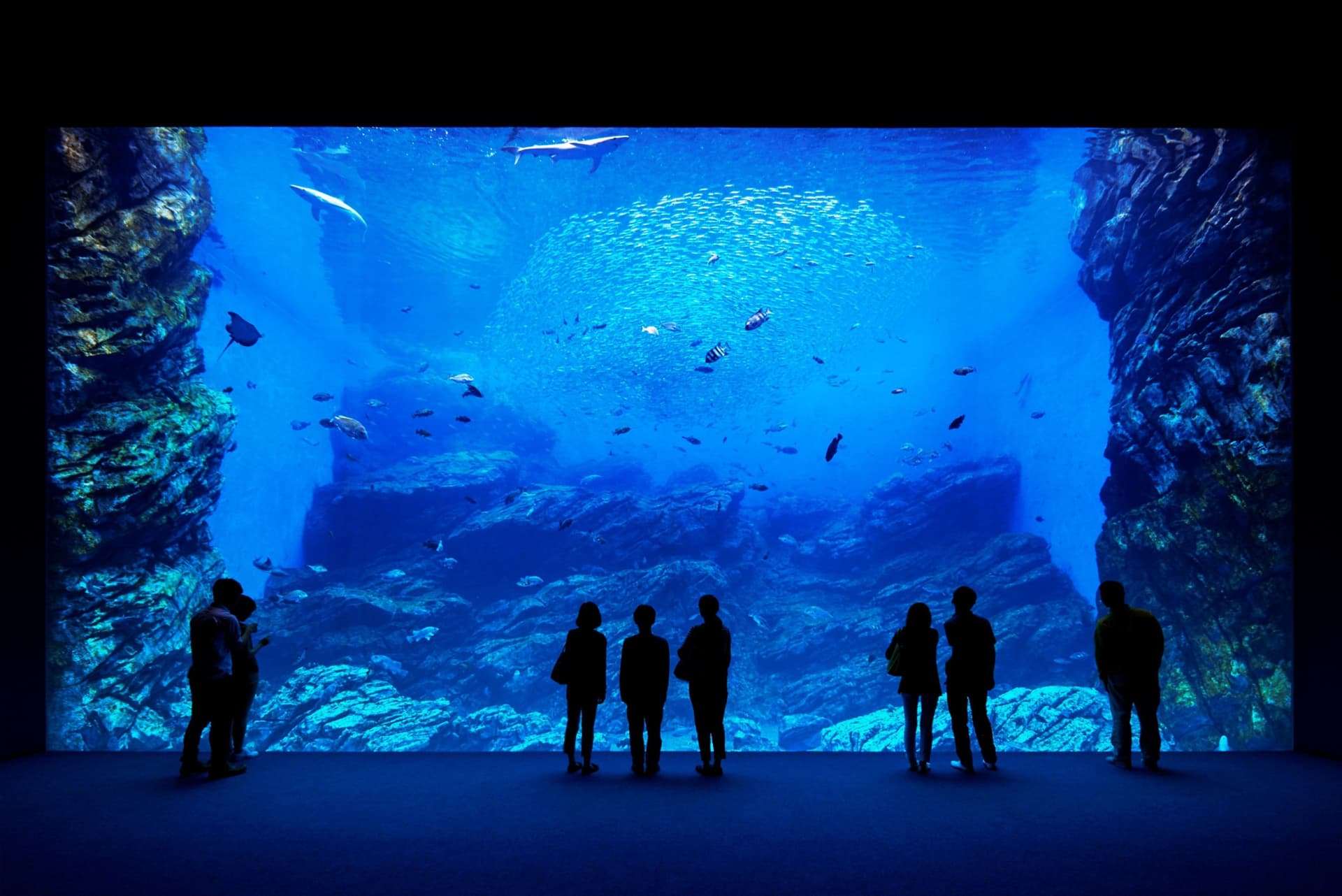 Sendai Umino-Mori Aquarium Ticket - მთავარი სურათი