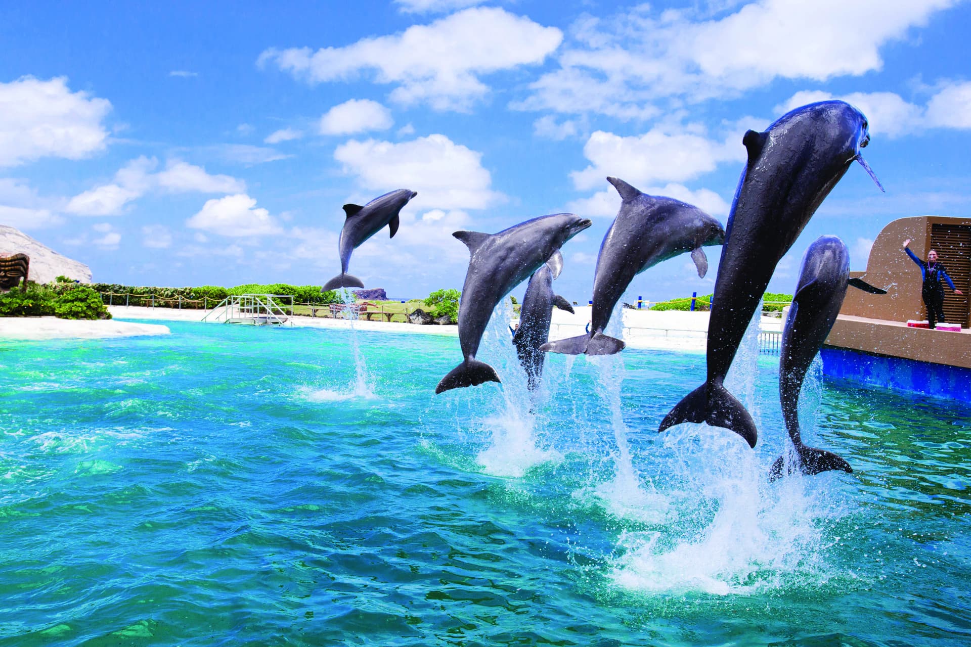 Go City Oahu All-Inclusive Pass: Save up to 50% on Attractions - სურათი 18