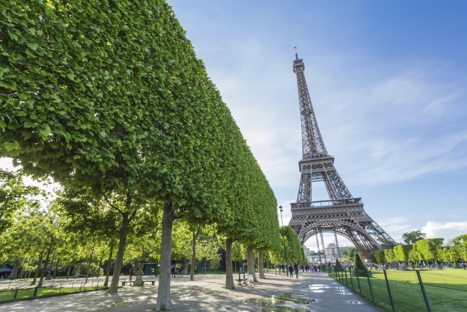 Paris Open-Top Bus Tour, Seine River Cruise, and Eiffel Tower Dining Experience - სურათი 2