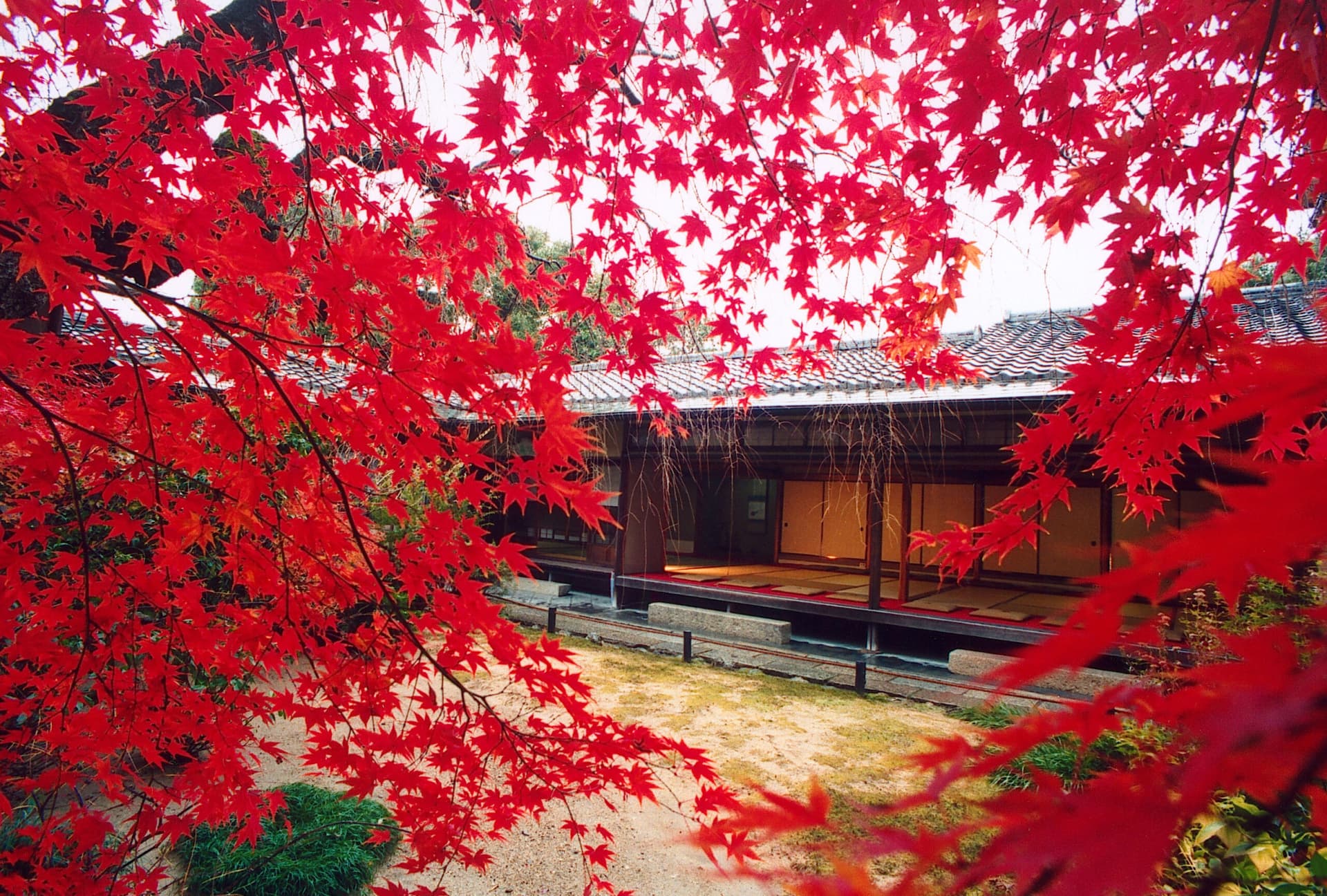 Myoshinji Temple Self-Guided Tour with Lunch - სურათი 3