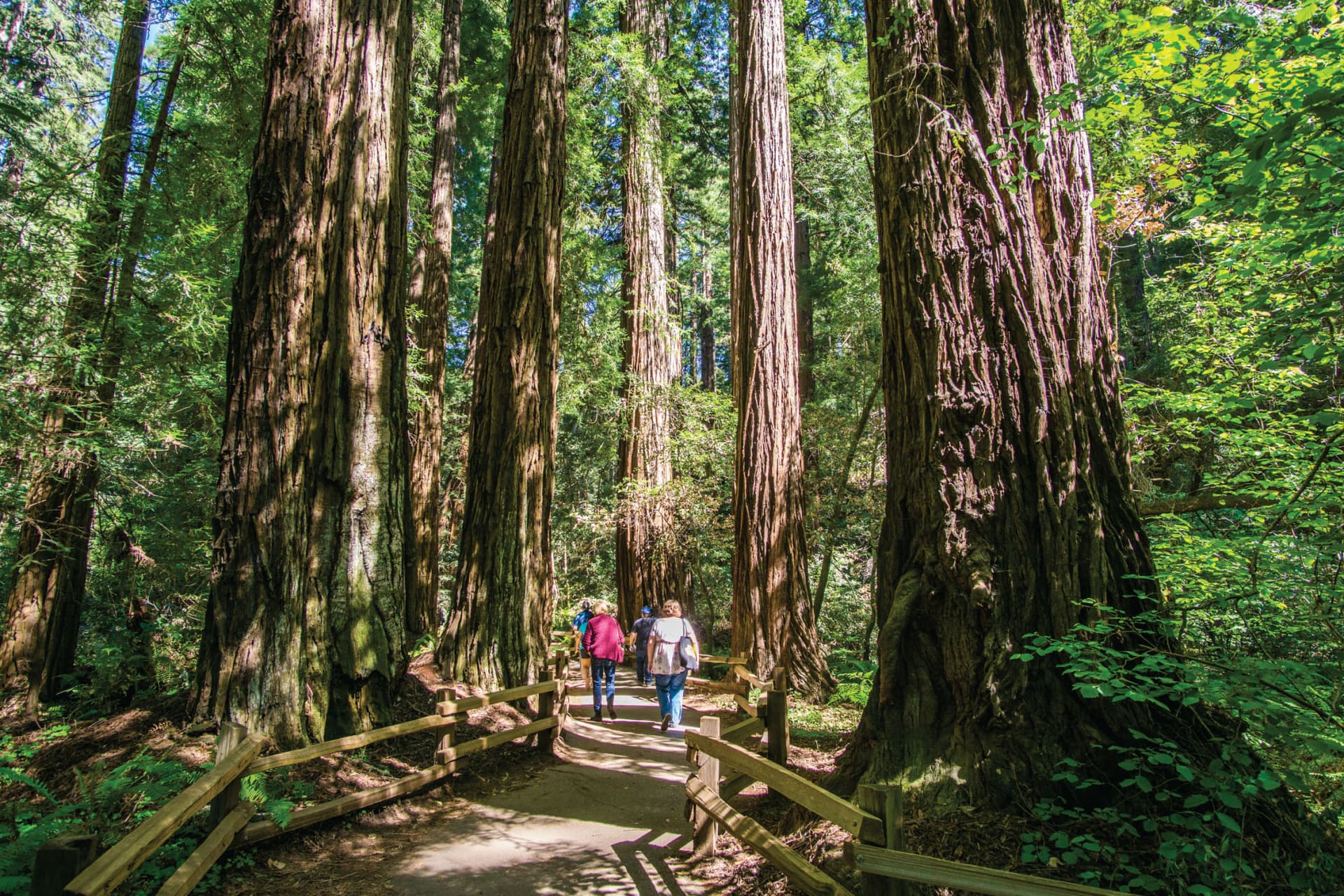 San Francisco Woods & Wine Country Full-Day Tour - სურათი 5