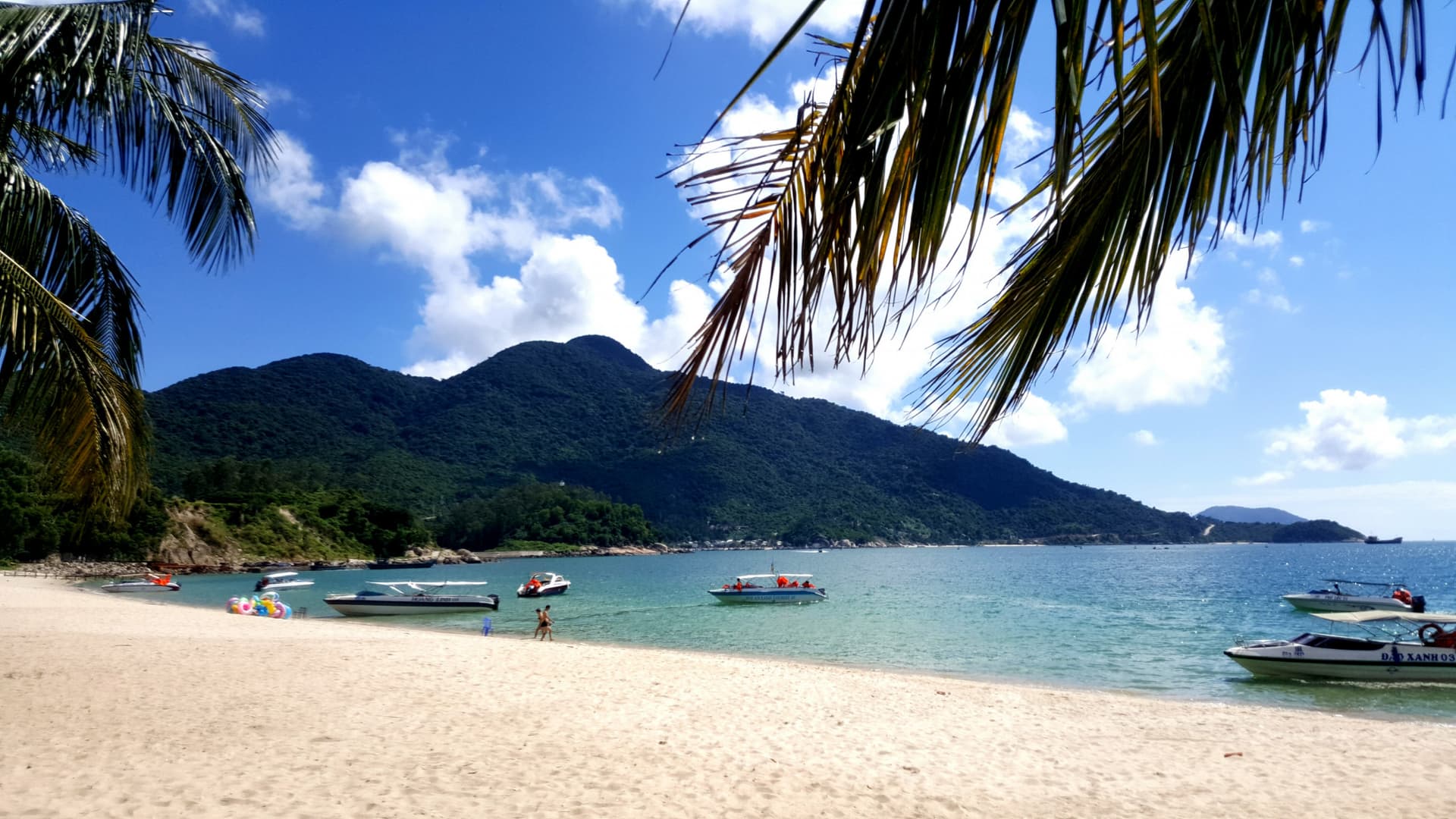 Cham Island Tour from Da Nang - მთავარი სურათი