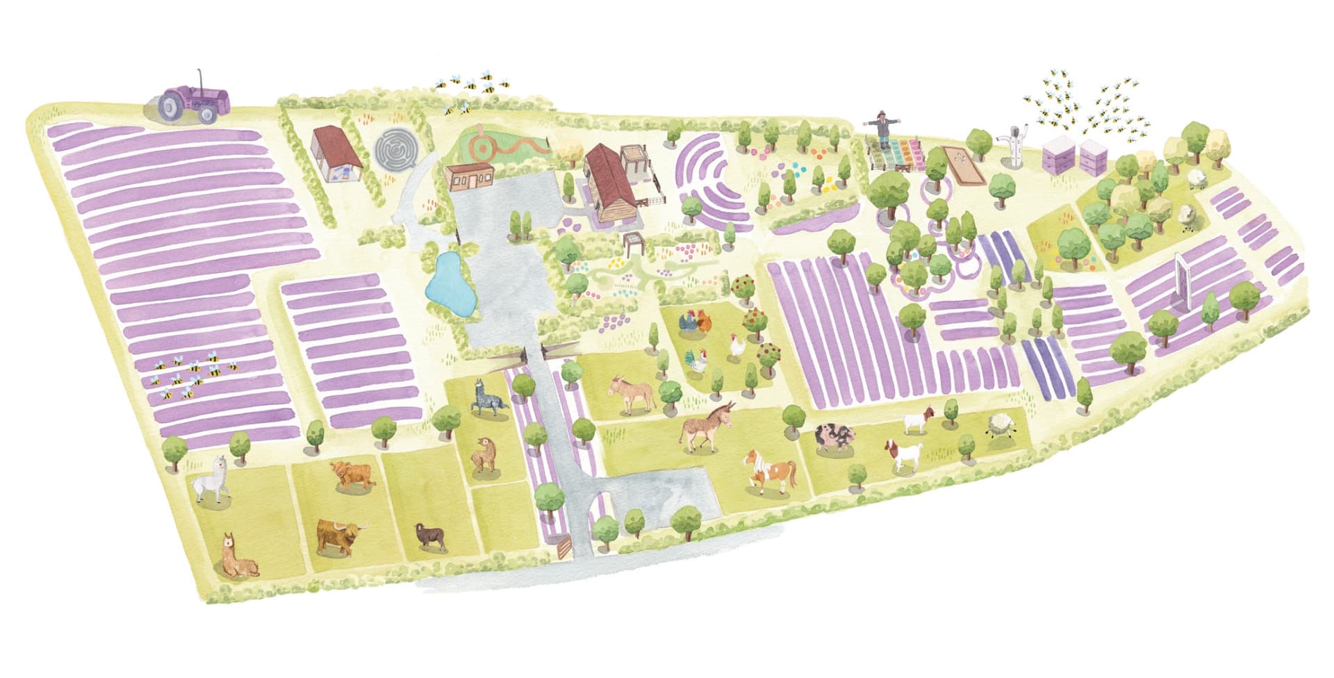 Wanaka Lavender Farm Ticket - სურათი 10
