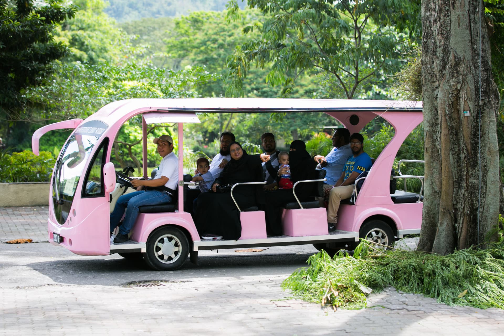 Zoo Negara Malaysia & Panda Conservation Centre Ticket - სურათი 17