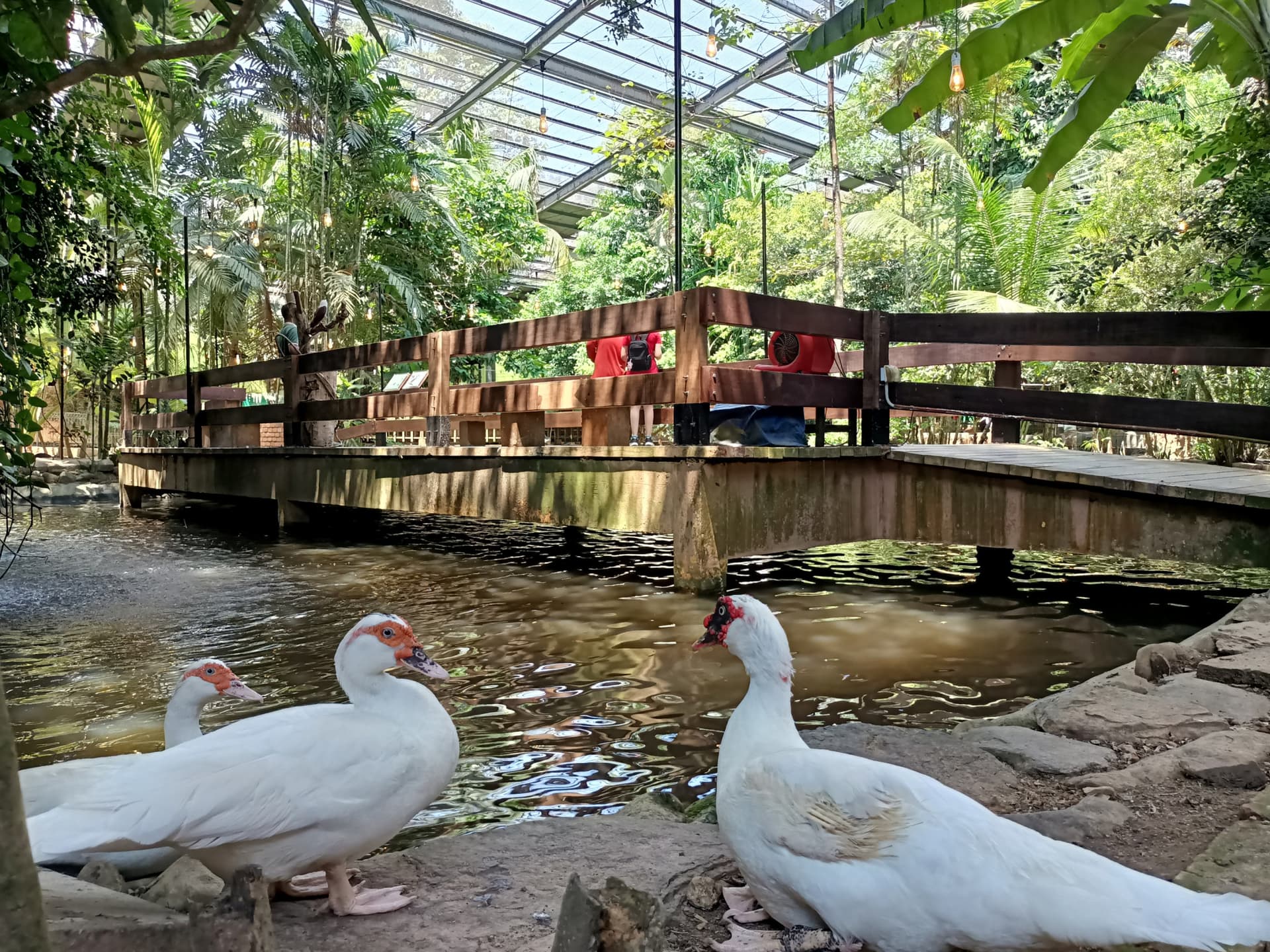 Langkawi Wildlife Park - სურათი 14