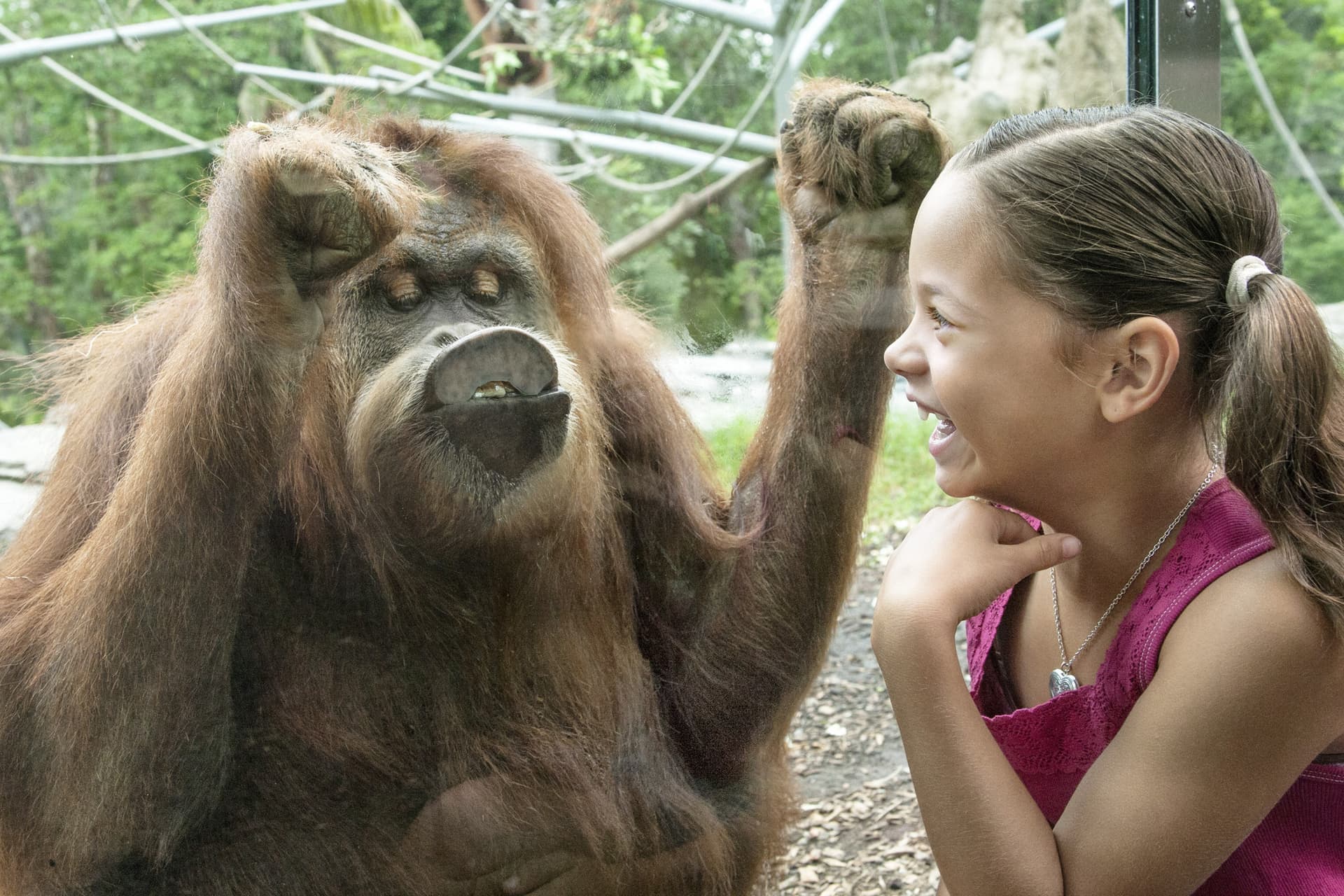 Go City San Diego Explorer Pass: Save up to 50% on Attractions - სურათი 47