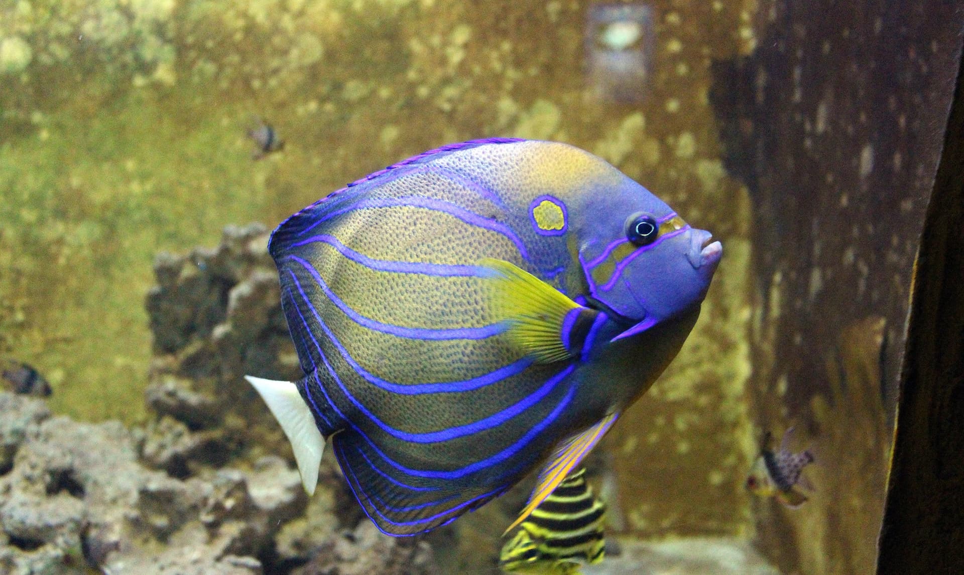 Yehliu Ocean World - სურათი 11