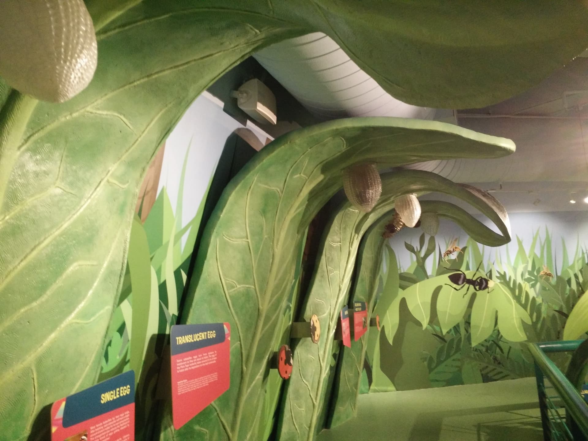 Science Centre Singapore, Omni Theatre, and KidsSTOP Singapore Ticket - სურათი 7