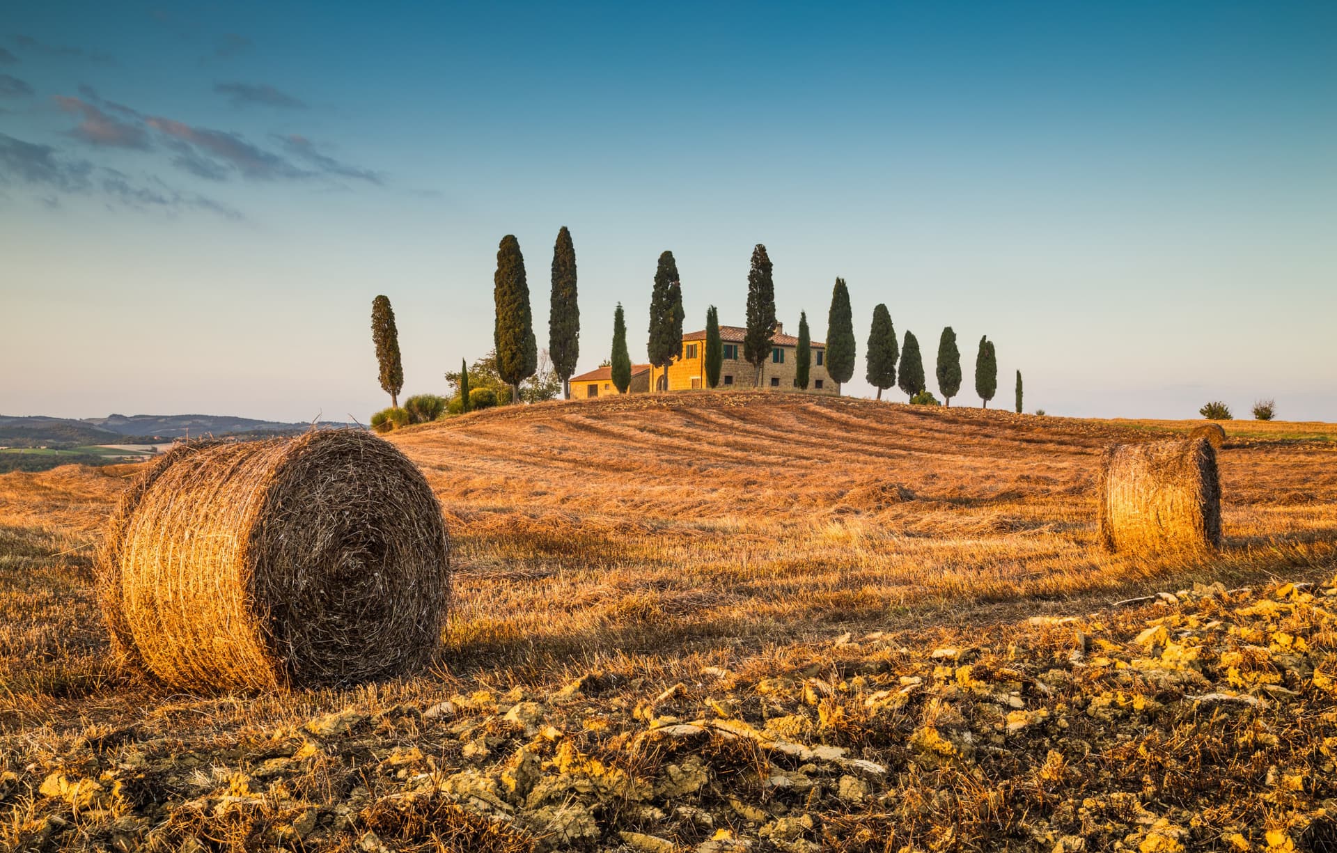 Medieval Tuscany Tour from Florence: Monteriggioni, Montalcino, Pienza - სურათი 2