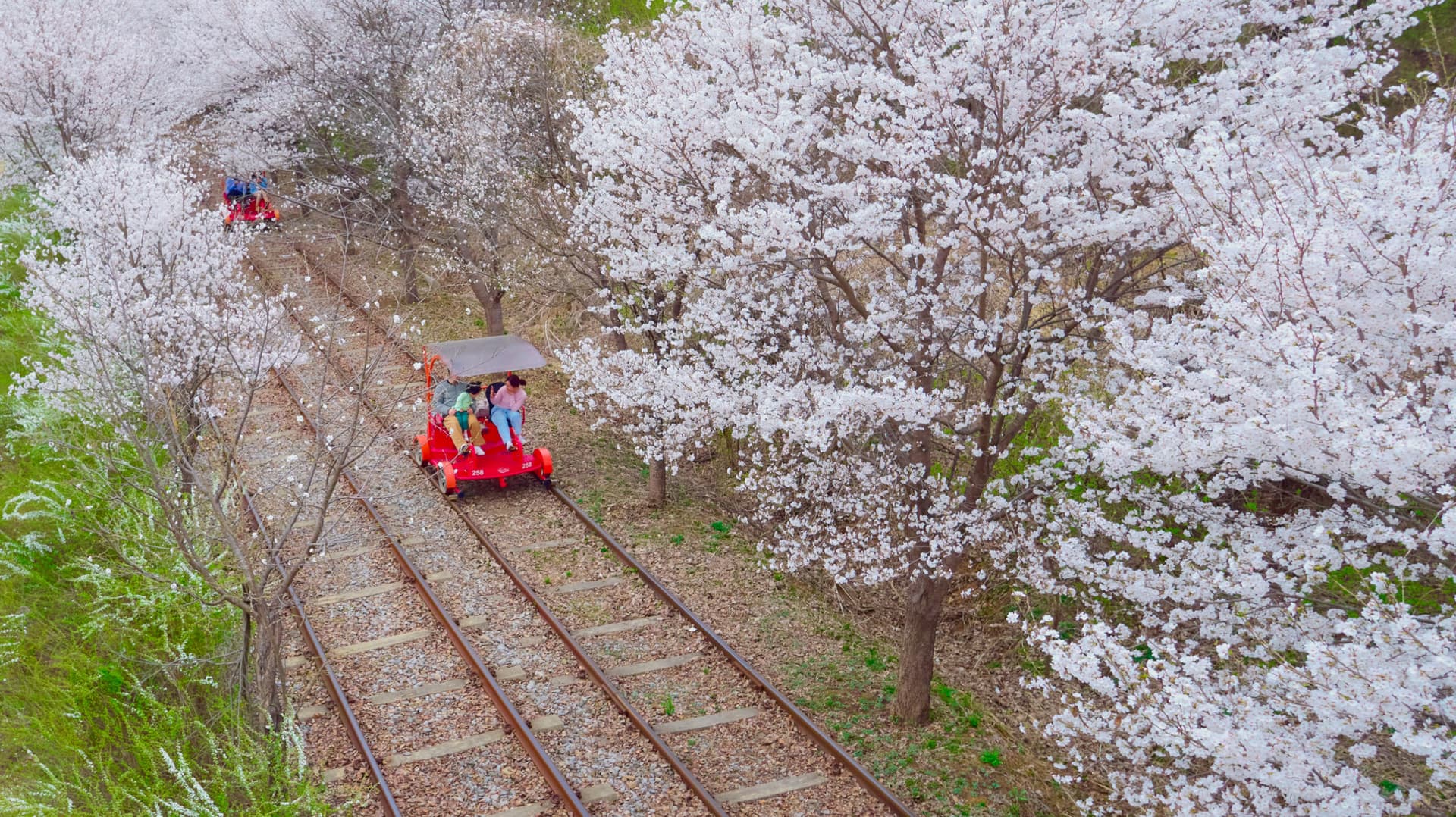 Nami Island, Mount Seorak, and Garden of Morning Calm Full-Day Tour from Seoul - სურათი 24
