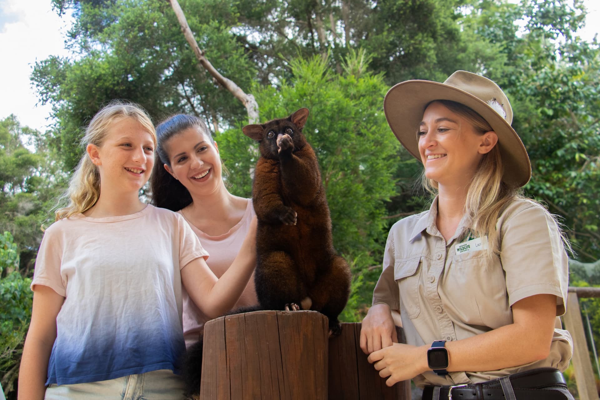 Currumbin Wildlife Sanctuary Gold Coast Ticket - სურათი 13