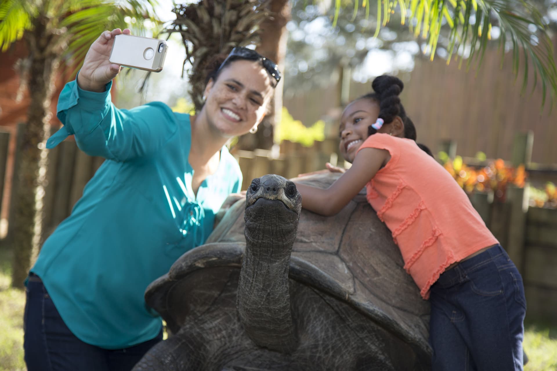 Go City Orlando All-Inclusive Pass: Save up to 50% on Attractions - სურათი 38
