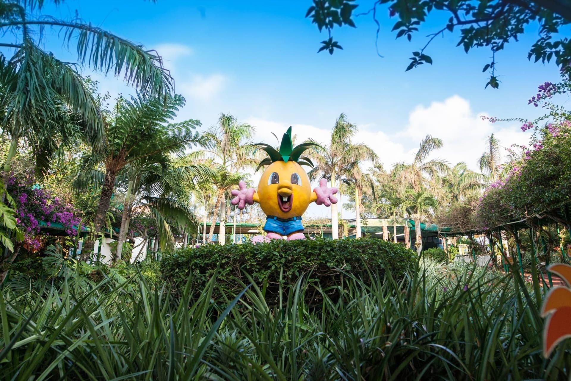 Okinawa Nago Pineapple Park - სურათი 5