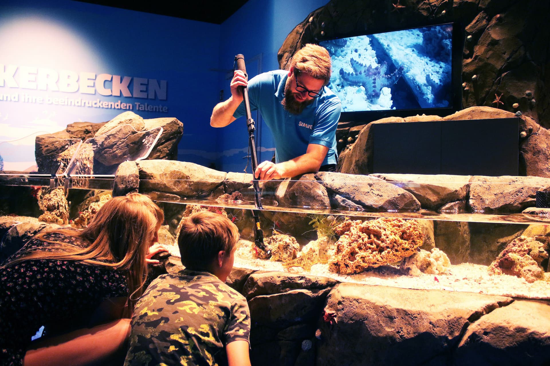 SEA LIFE Konstanz Aquarium Ticket - სურათი 4