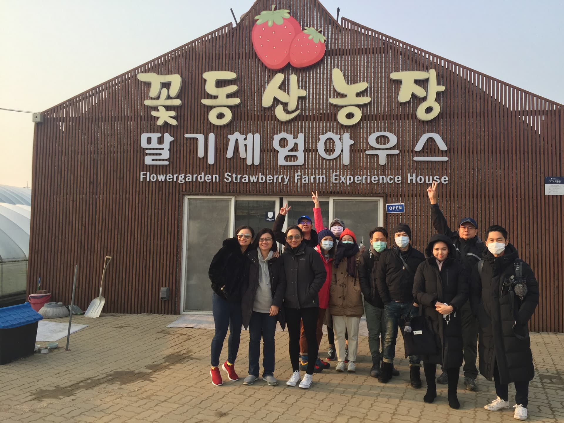 Strawberry Picking, Vivaldi Park, and Eobi Ice Valley Full-Day Tour from Seoul - სურათი 5