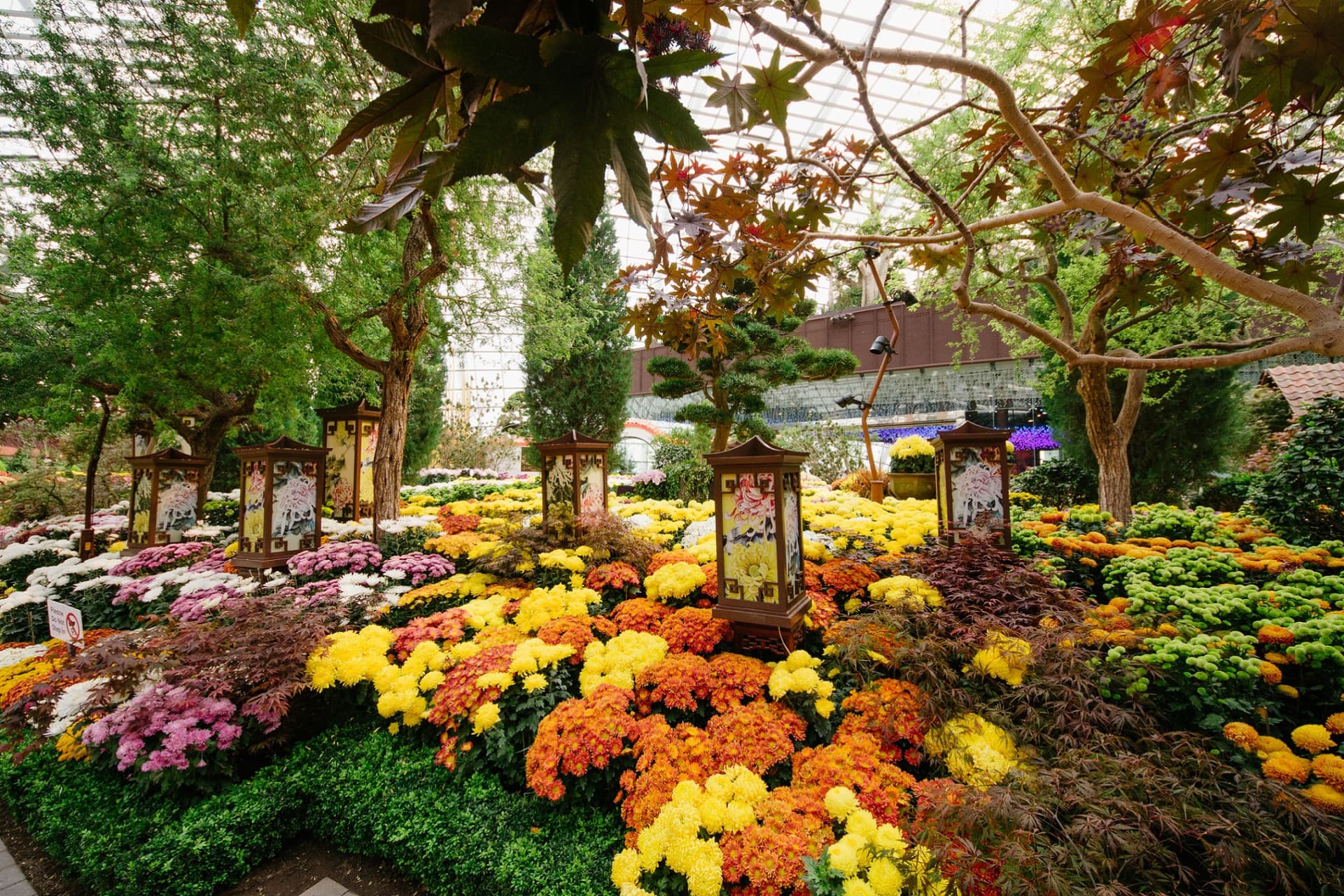 COMBO: Gardens by the Bay - Floral Fantasy + National Orchid Garden - სურათი 9