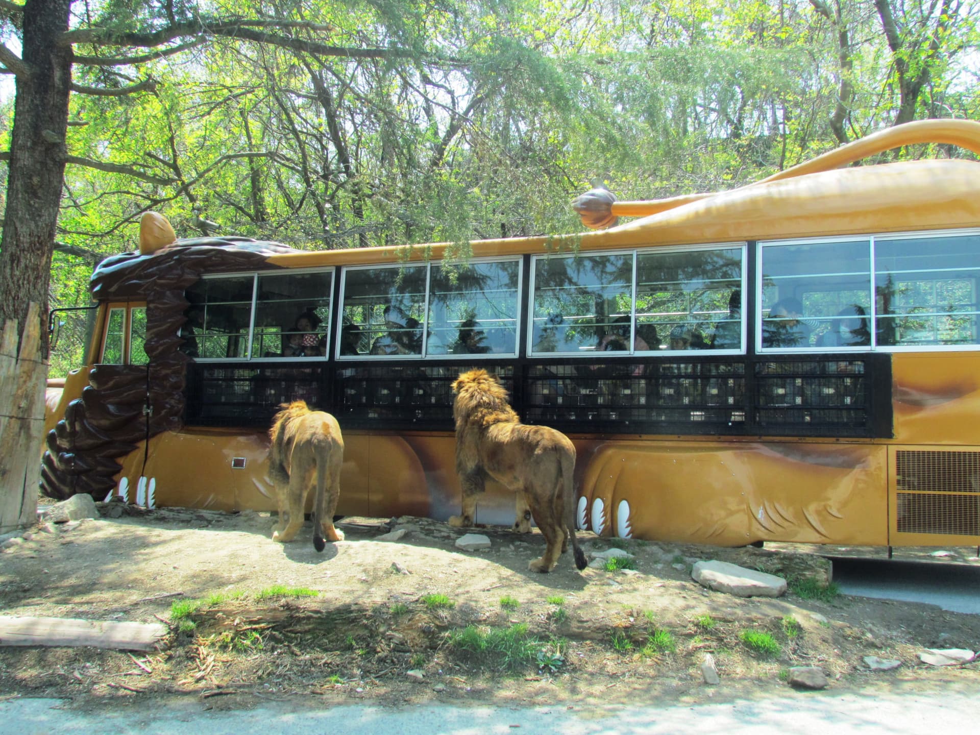 Gunma Safari Park Ticket - სურათი 3