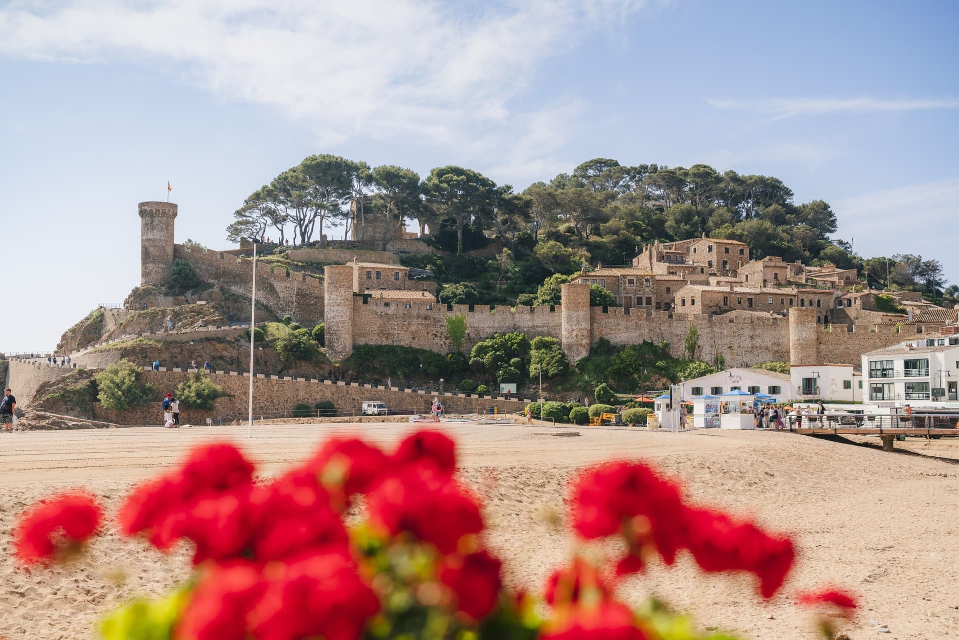 Montserrat, Girona, and Costa Brava Tour from Barcelona - სურათი 13