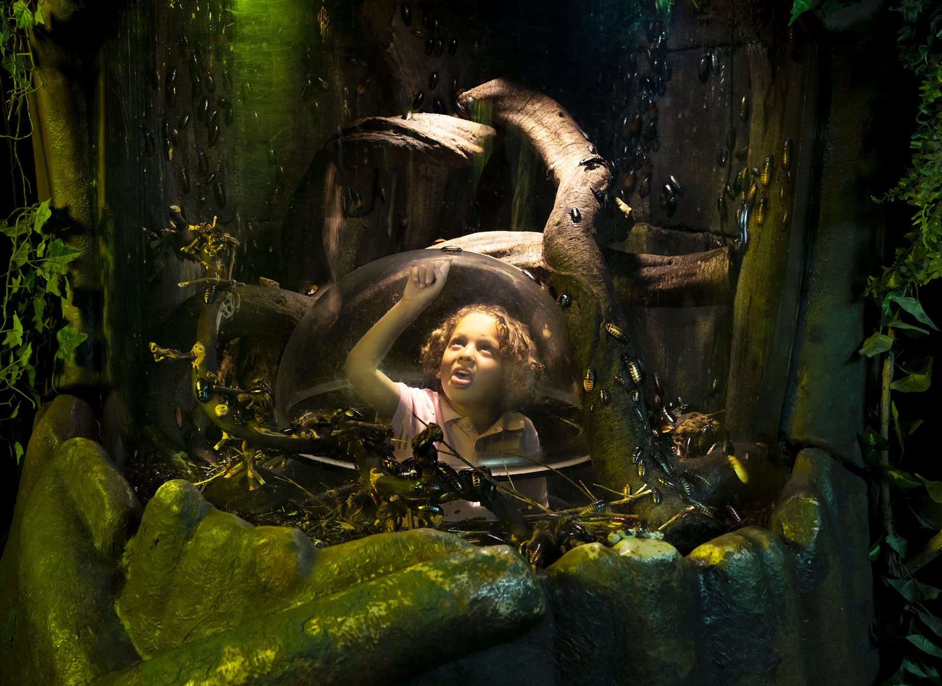 SEA LIFE London Aquarium Ticket - სურათი 14
