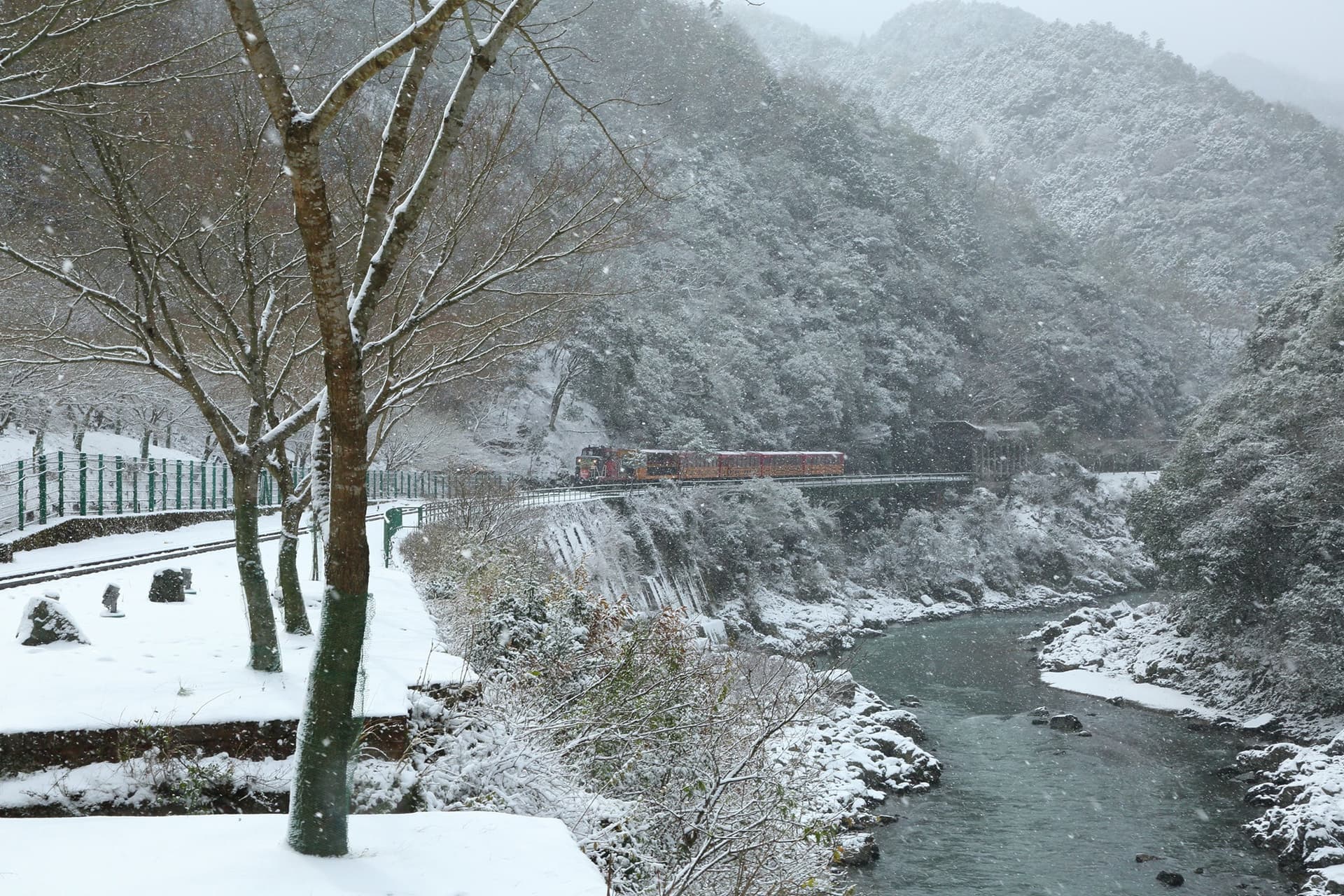 Sagano Romantic Train - სურათი 26