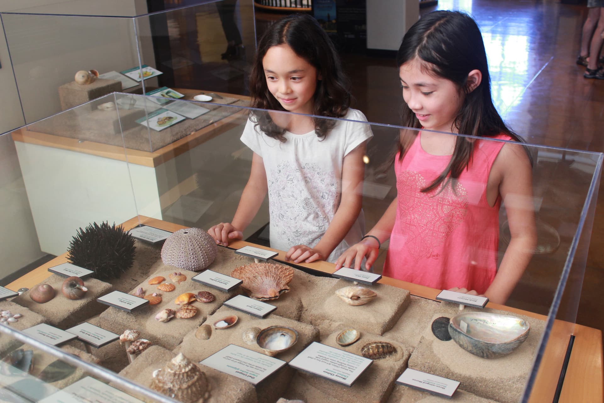 Go City San Diego Explorer Pass: Save up to 50% on Attractions - სურათი 36