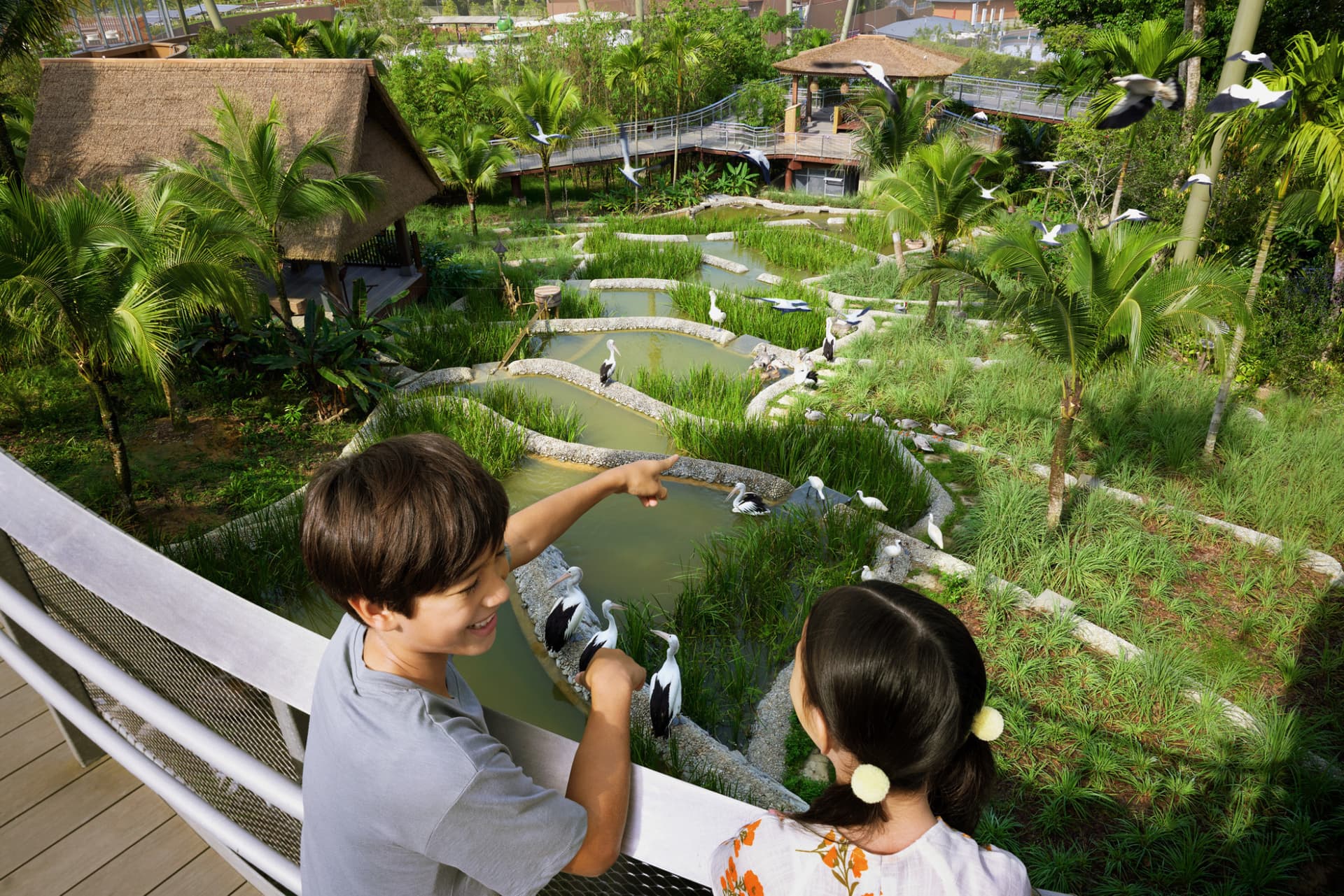 COMBO: River Wonders + Bird Paradise Ticket - სურათი 11
