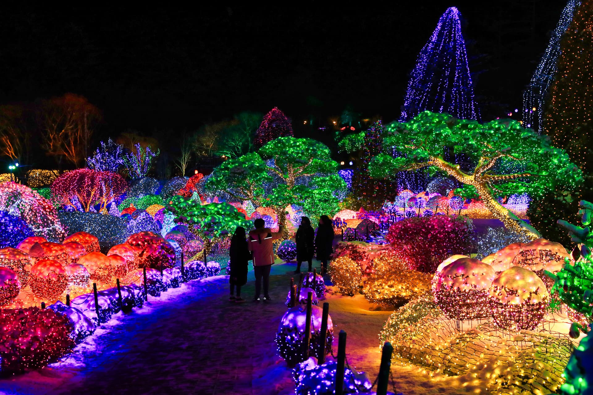 Nami Island, Mount Seorak, and Garden of Morning Calm Full-Day Tour from Seoul - სურათი 16