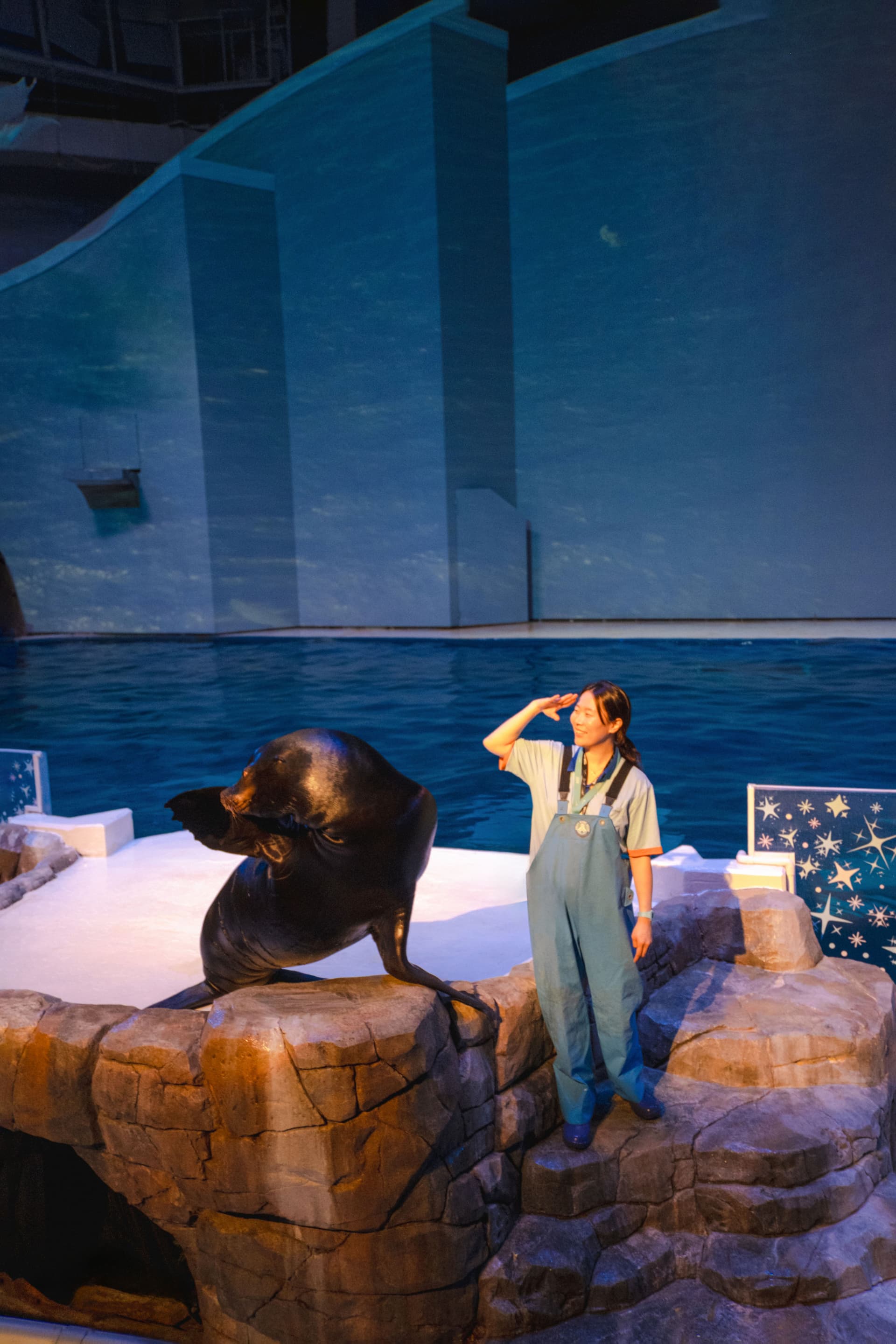 Aqua Planet Jeju Aquarium Ticket - სურათი 10